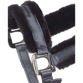 Cavallo Licol Cavaljero Acier