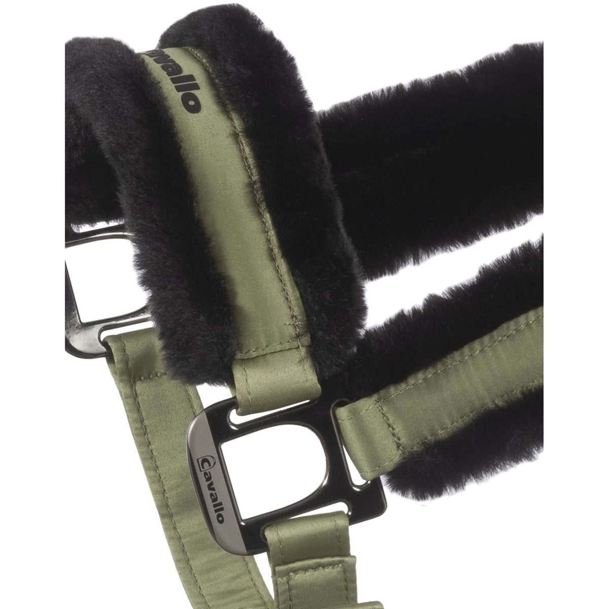 Cavallo Licol Cavaljero Tea Leaf