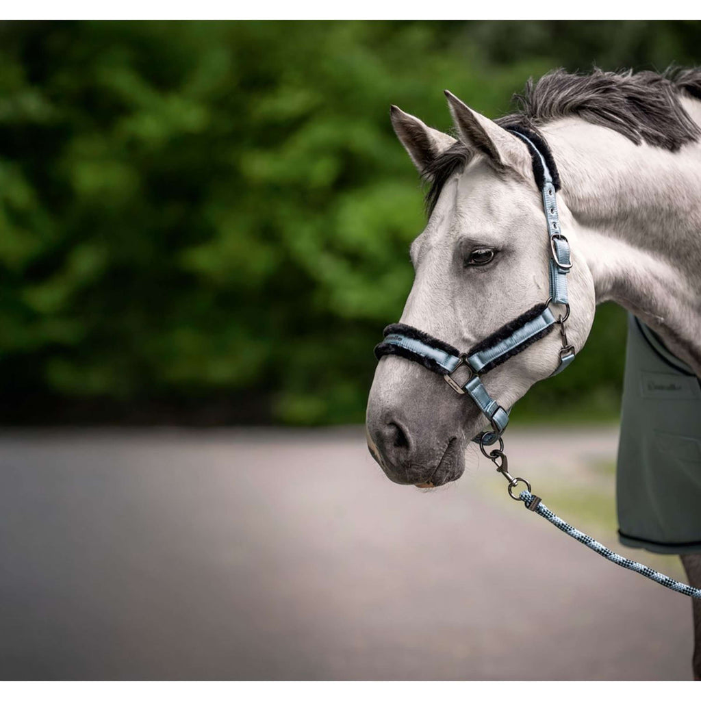 Cavallo Licol CavalJero Soft Aqua