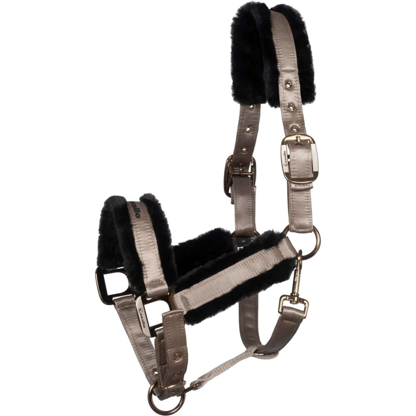 Cavallo Licol CavalJero avec Fourrure Latte Cavallo Licol CavalJero avec Fourrure Latte