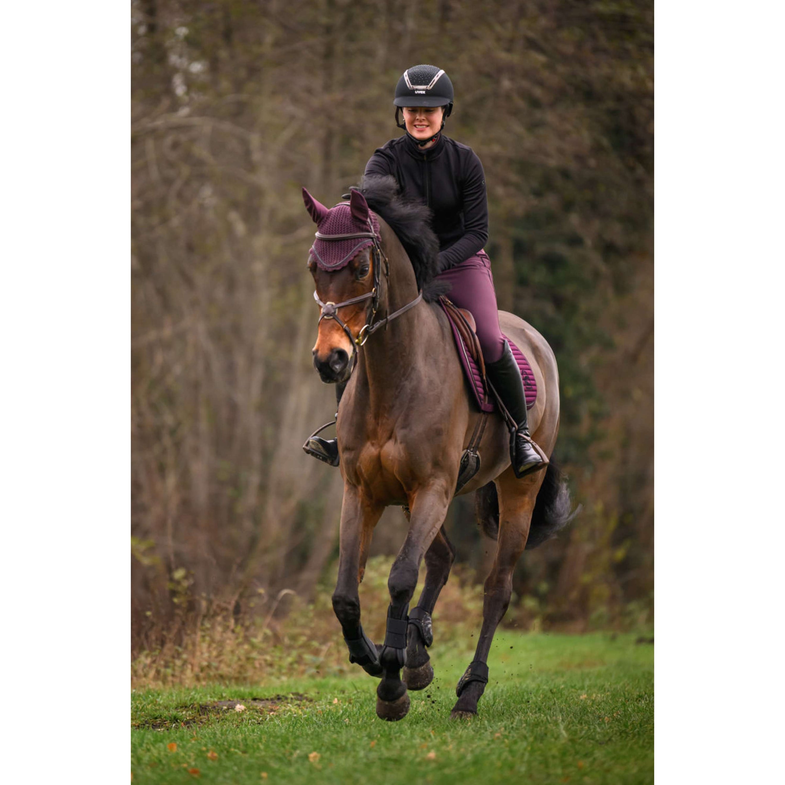 Cavallo Bonnet Anti-Mouches CavalJetty Dusty Plum