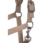 Cavallo Licol CavalRose Latte