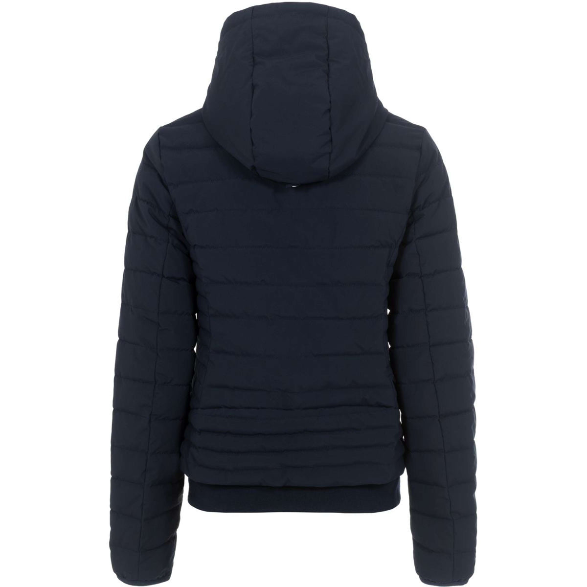 Cavallo Blouson CavalBena Bleu foncé