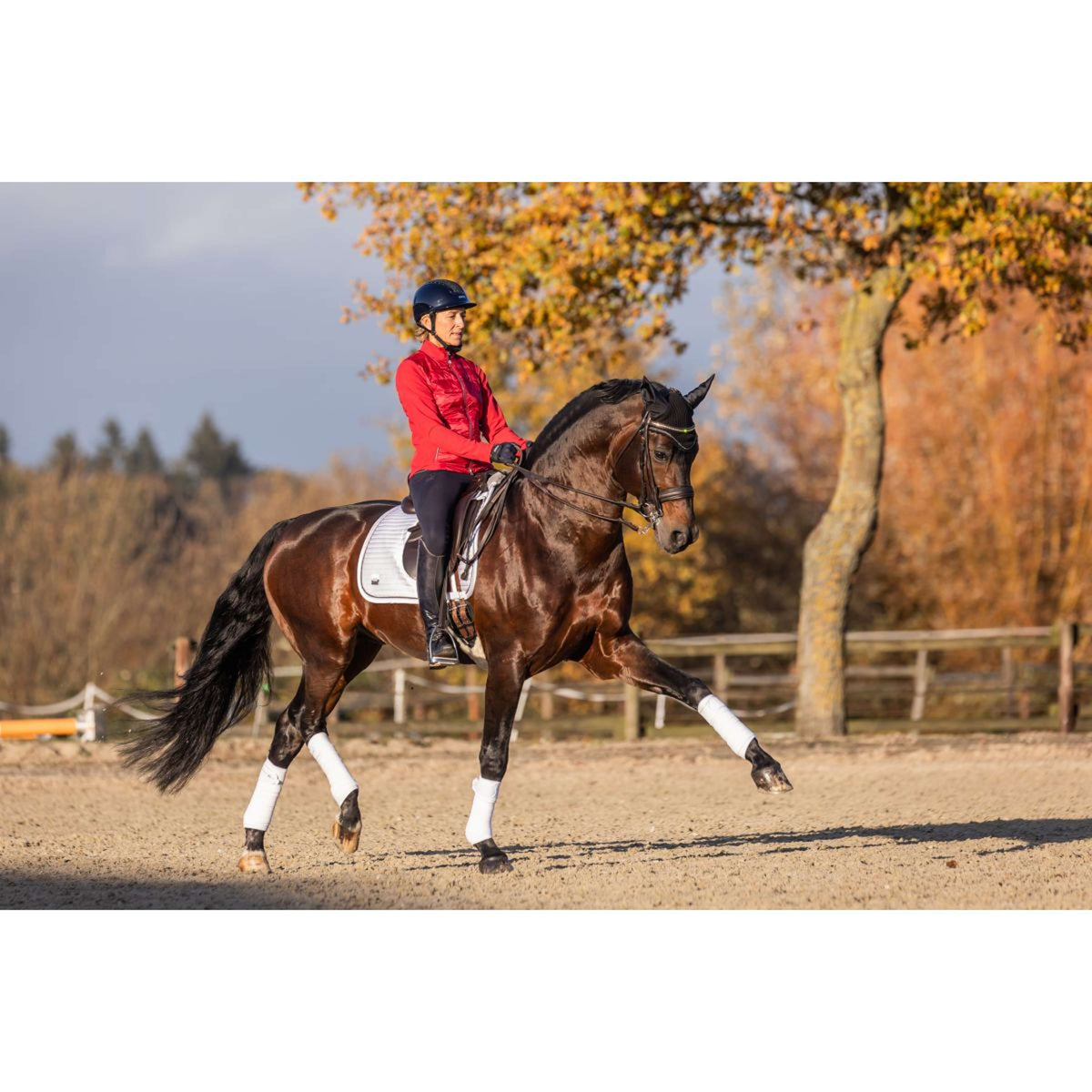 Cavallo Ingrid Klimke Blouson CavalKay Rouge