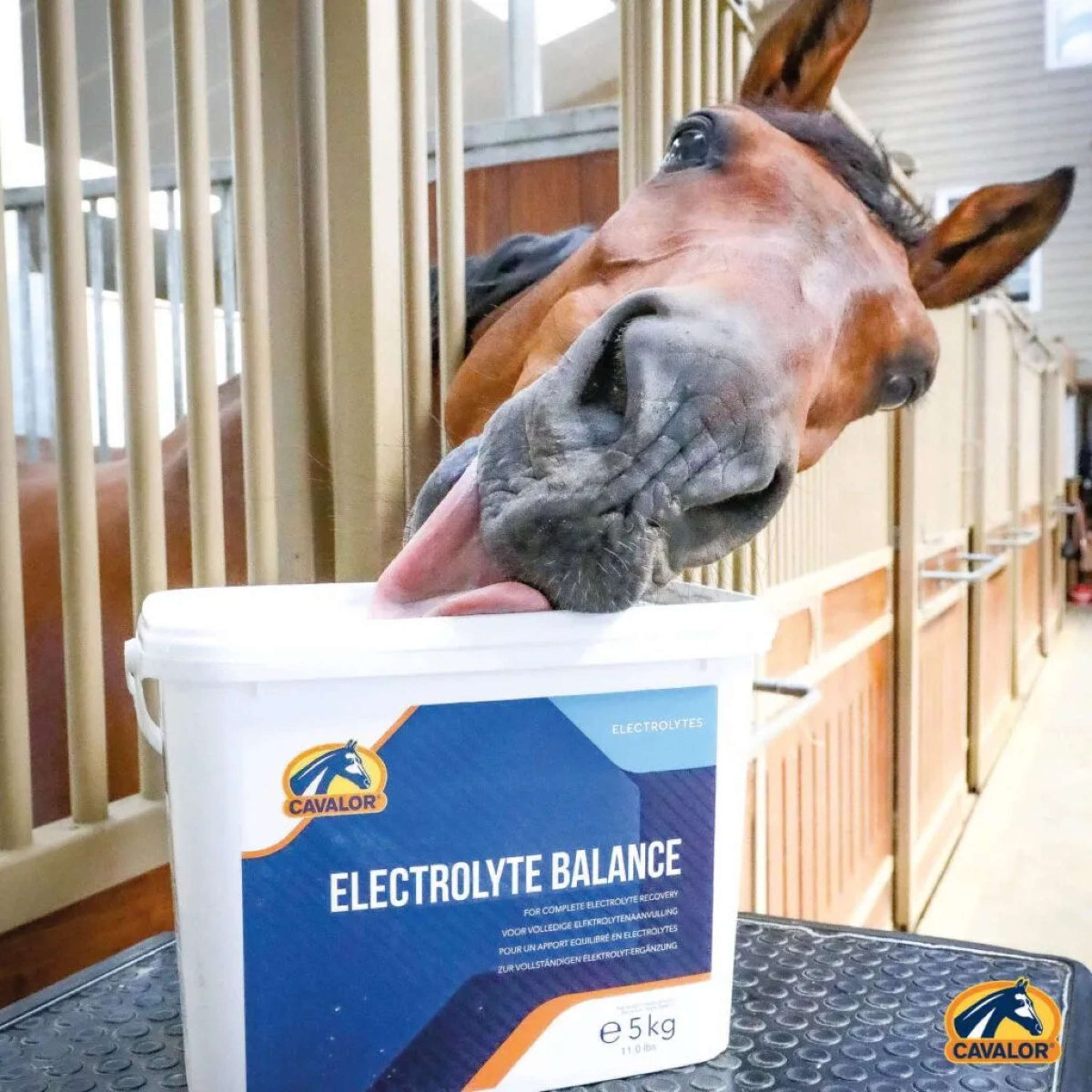 Cavalor Electrolytes Electolyte Balance