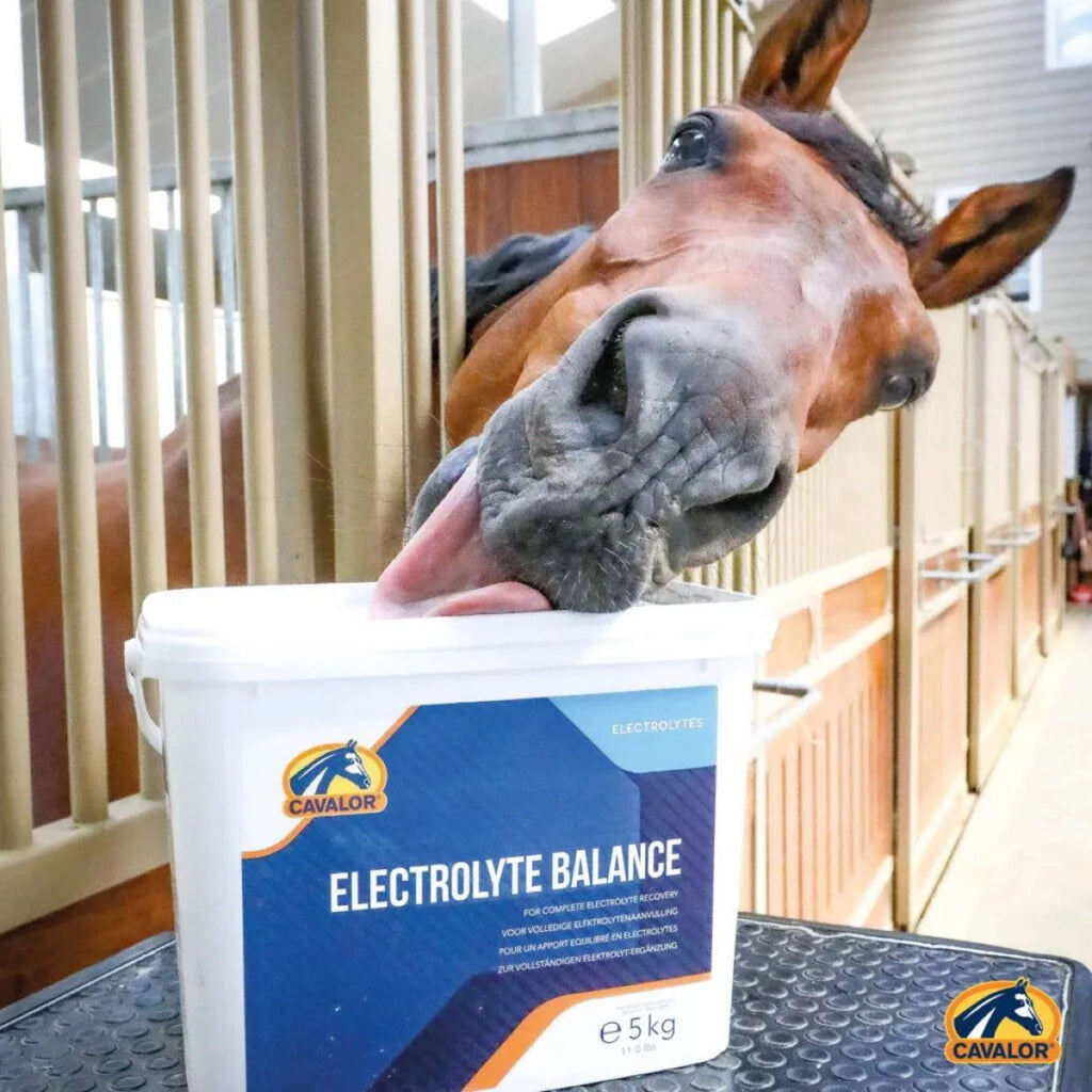 Cavalor Electrolytes Electolyte Balance