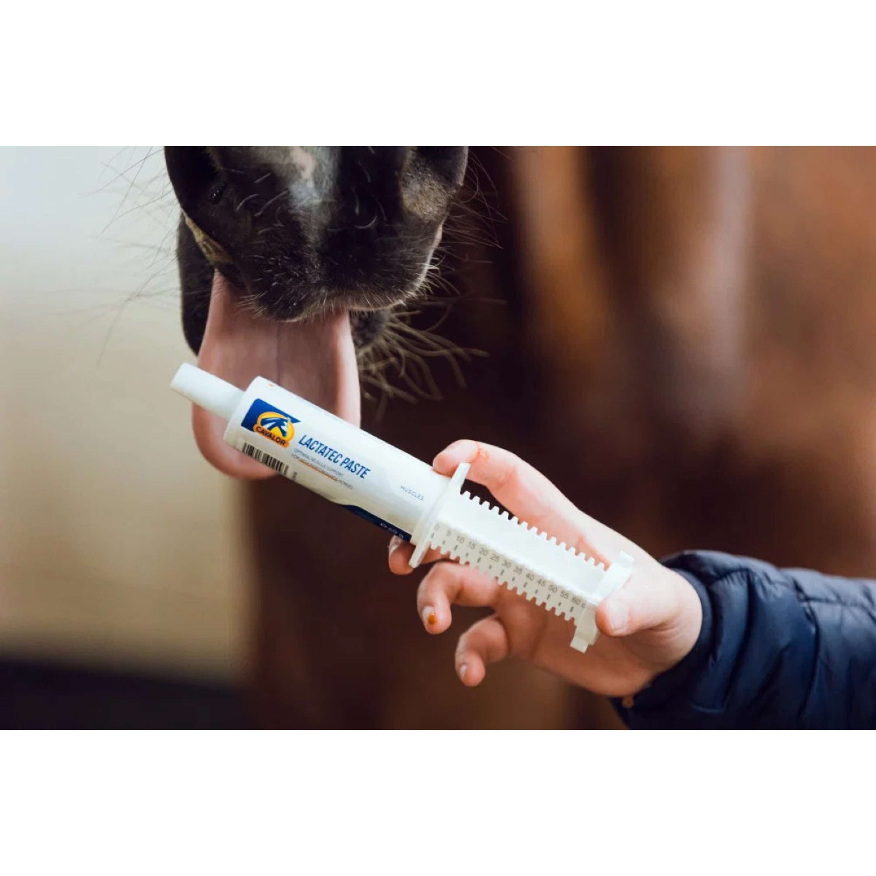 Cavalor Lactatec Paste