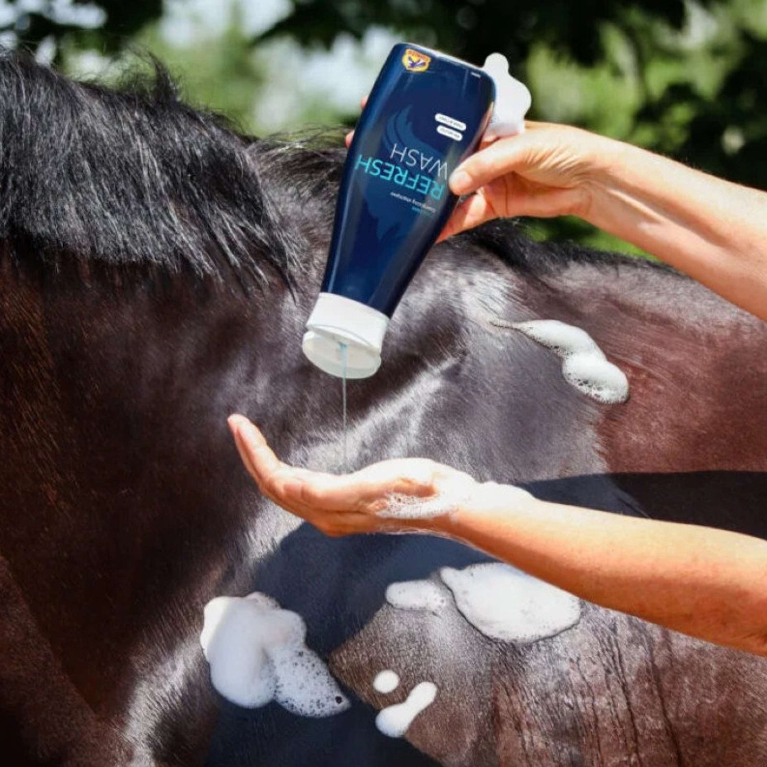 Cavalor Shampooing Refresh Wash