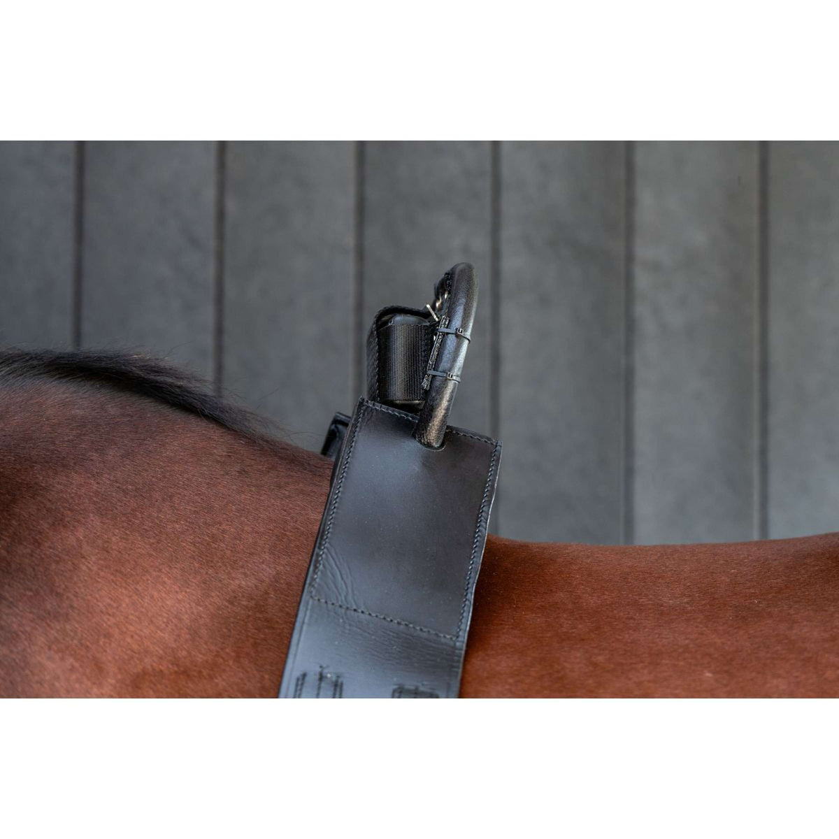 Birth Alarm Classic Complètement