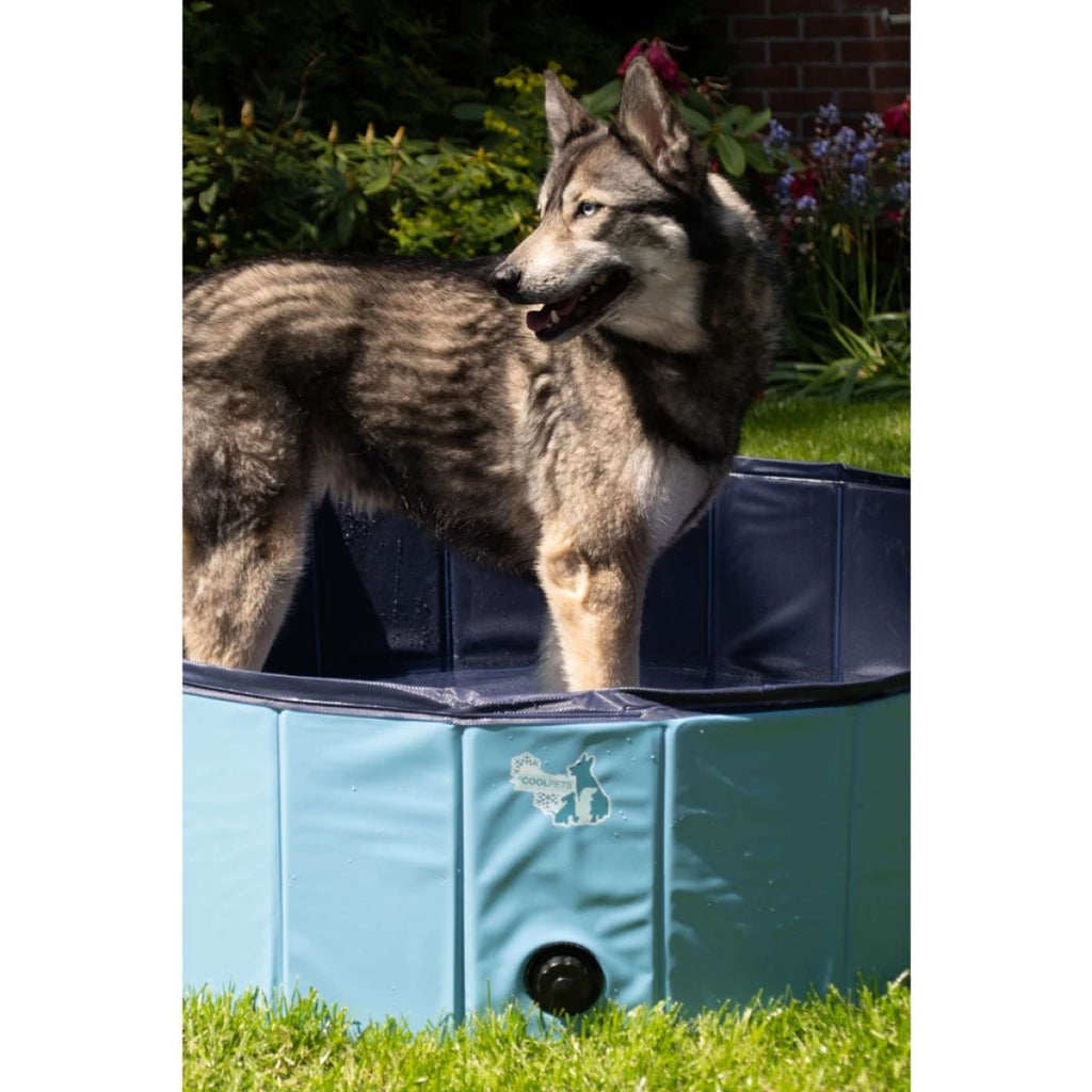 Coolpets Piscine