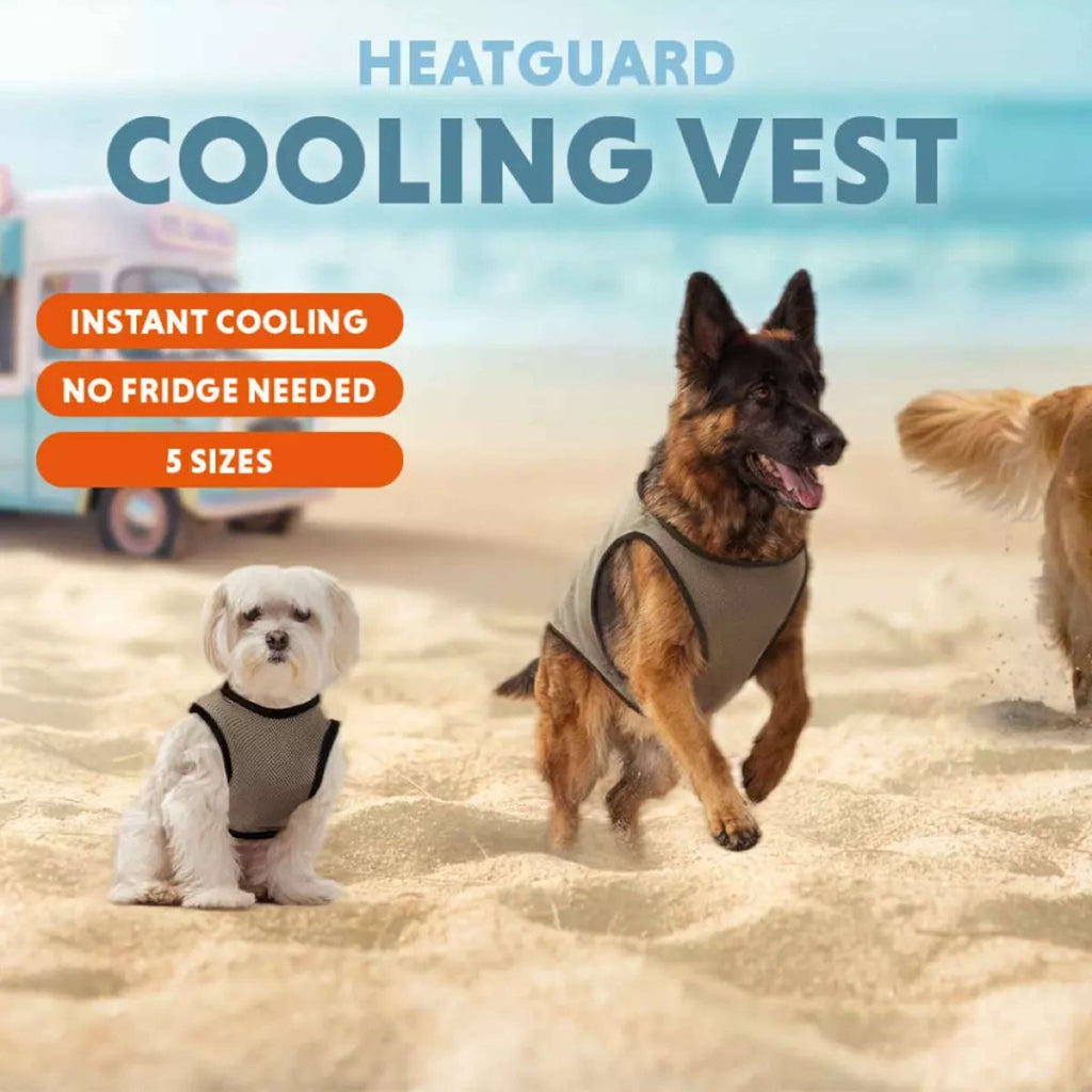 CoolPets Veste pour Chien Cooling Beige/Gris