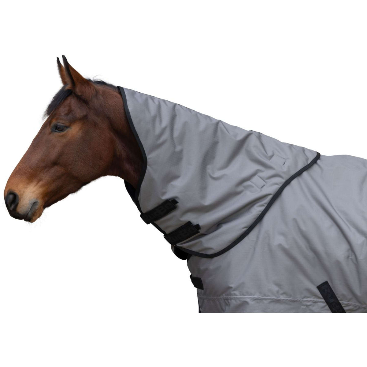 RugBe by Covalliero Couvre-Cou AW25 200g Steel Grey