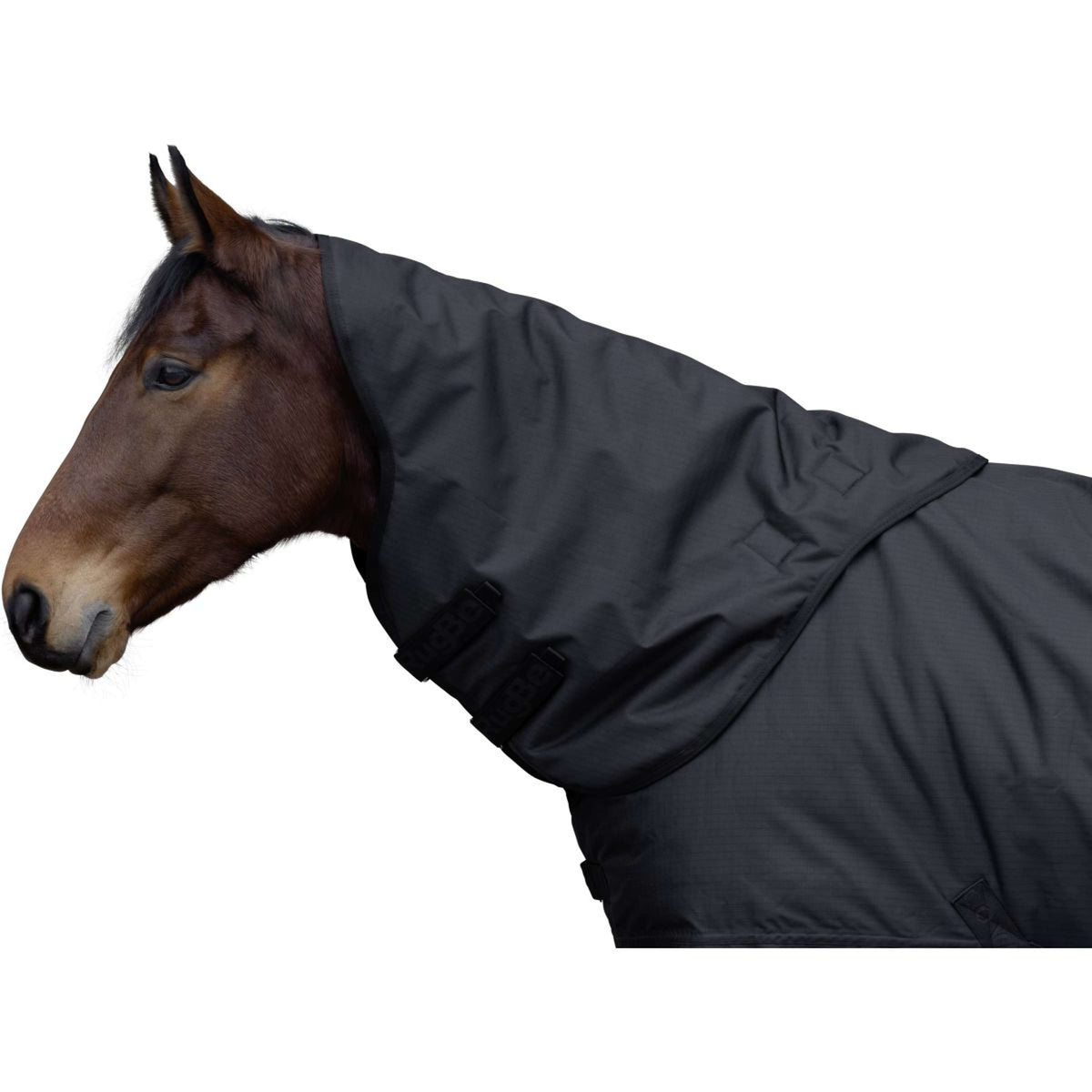 RugBe by Covalliero Couvre-Cou AW25 100g Noir