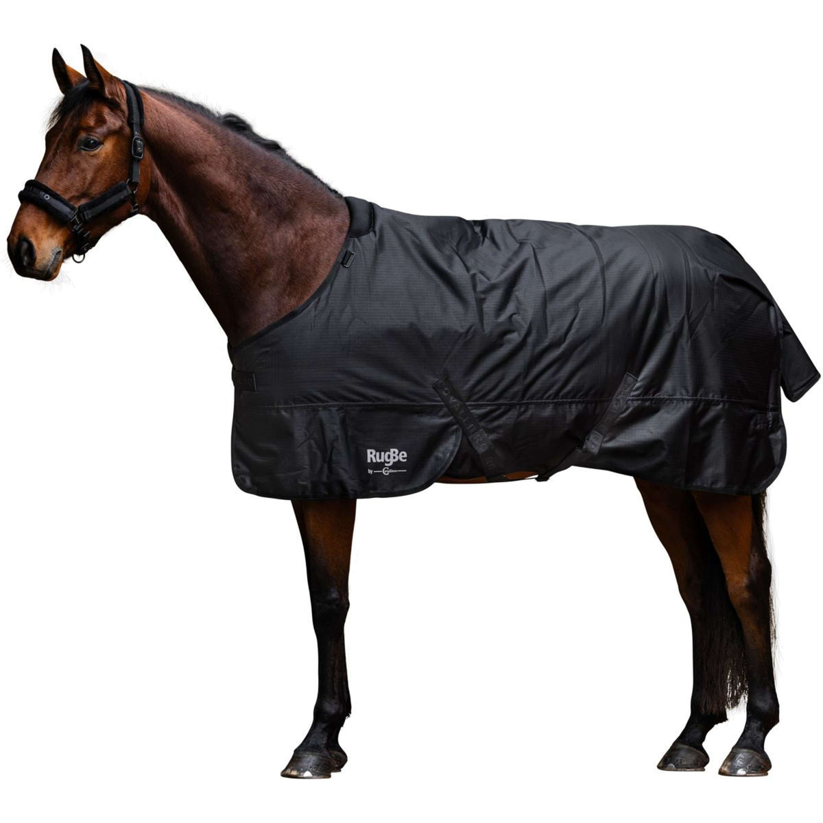 RugBe by Covalliero Couverture d'Hiver AW25 300g Noir