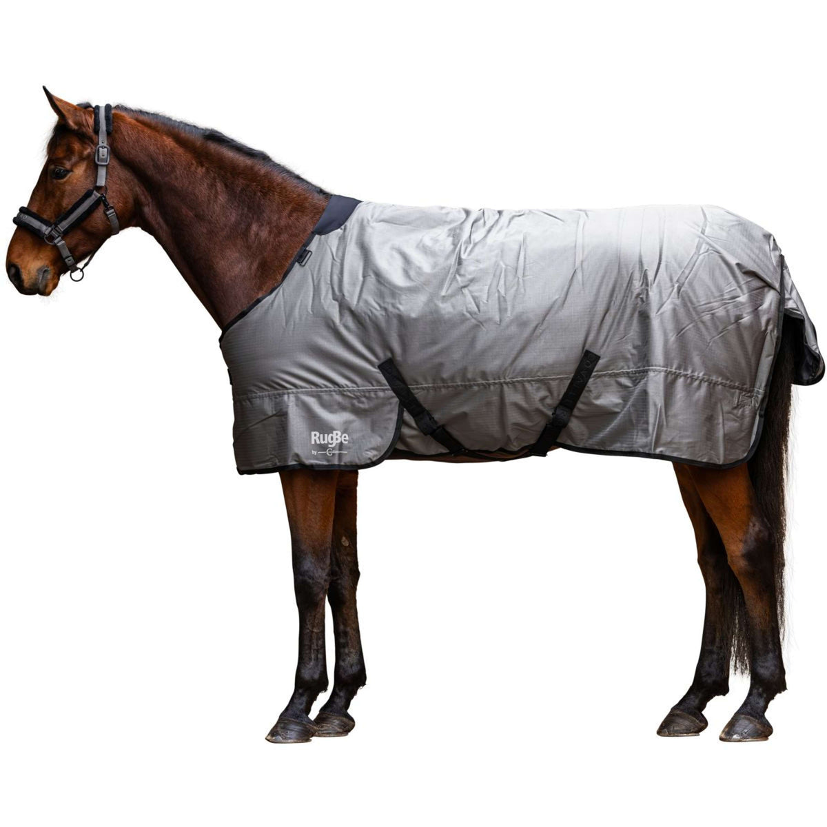 RugBe by Covalliero Couverture d'Hiver AW25 300g Steel Grey