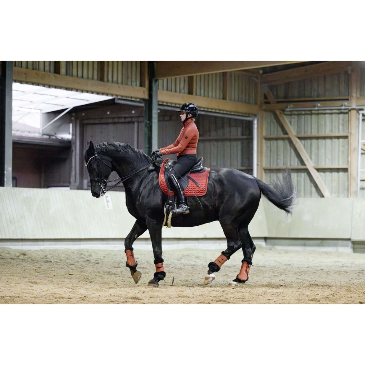 Covalliero Guêtres AW25 Rouille