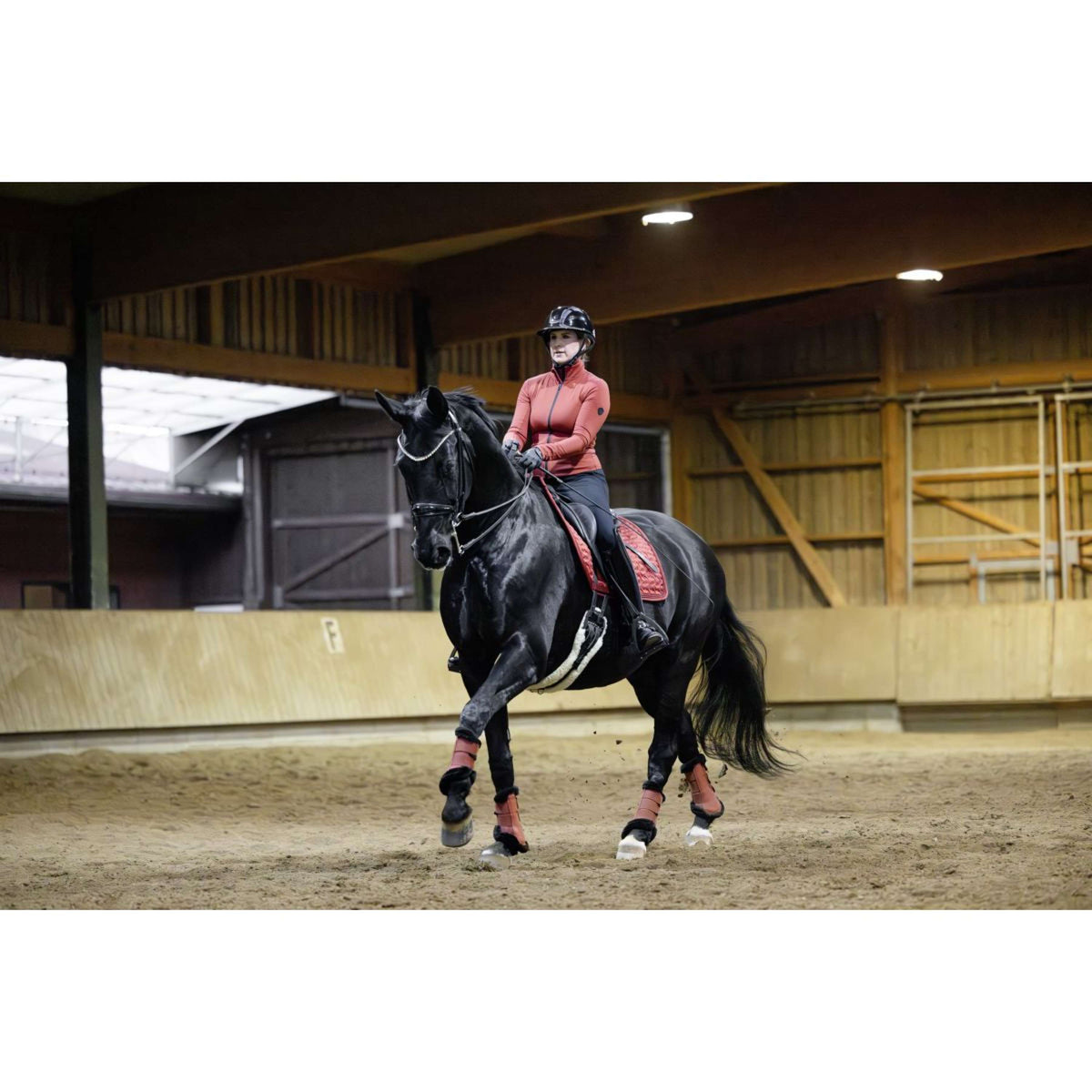 Covalliero Guêtres AW25 Rouille