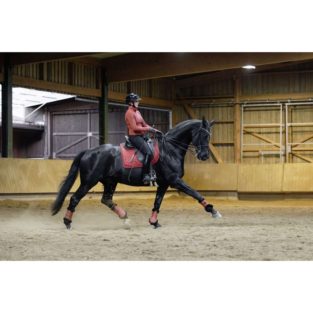 Covalliero Guêtres AW25 Rouille