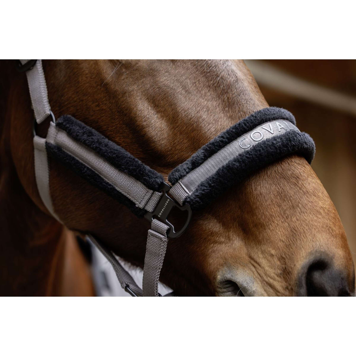 Covalliero Licol AW25 Steel Grey