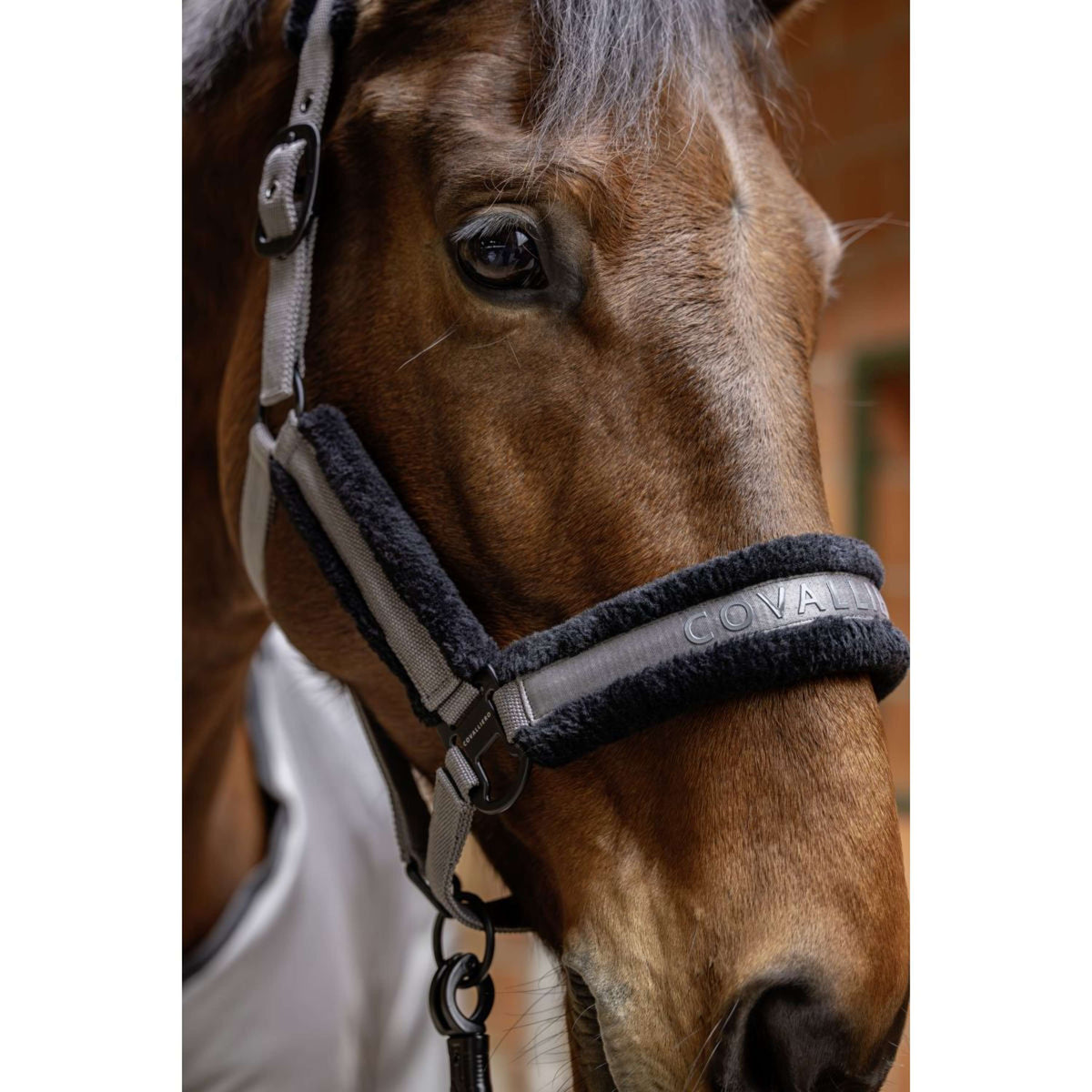 Covalliero Licol AW25 Steel Grey