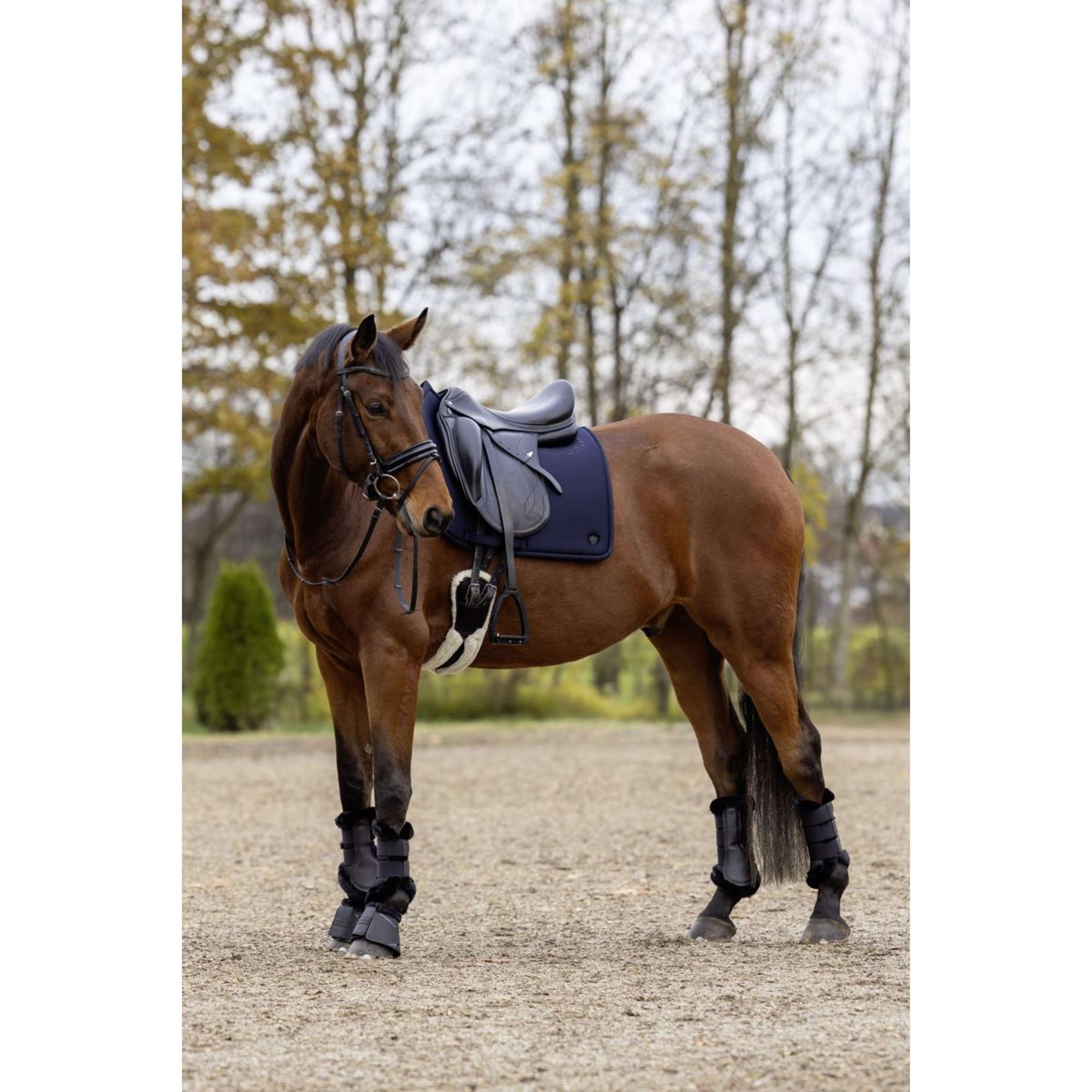 Covalliero Tapis de Selle MemoryRide AW25 Dressage Marin foncé