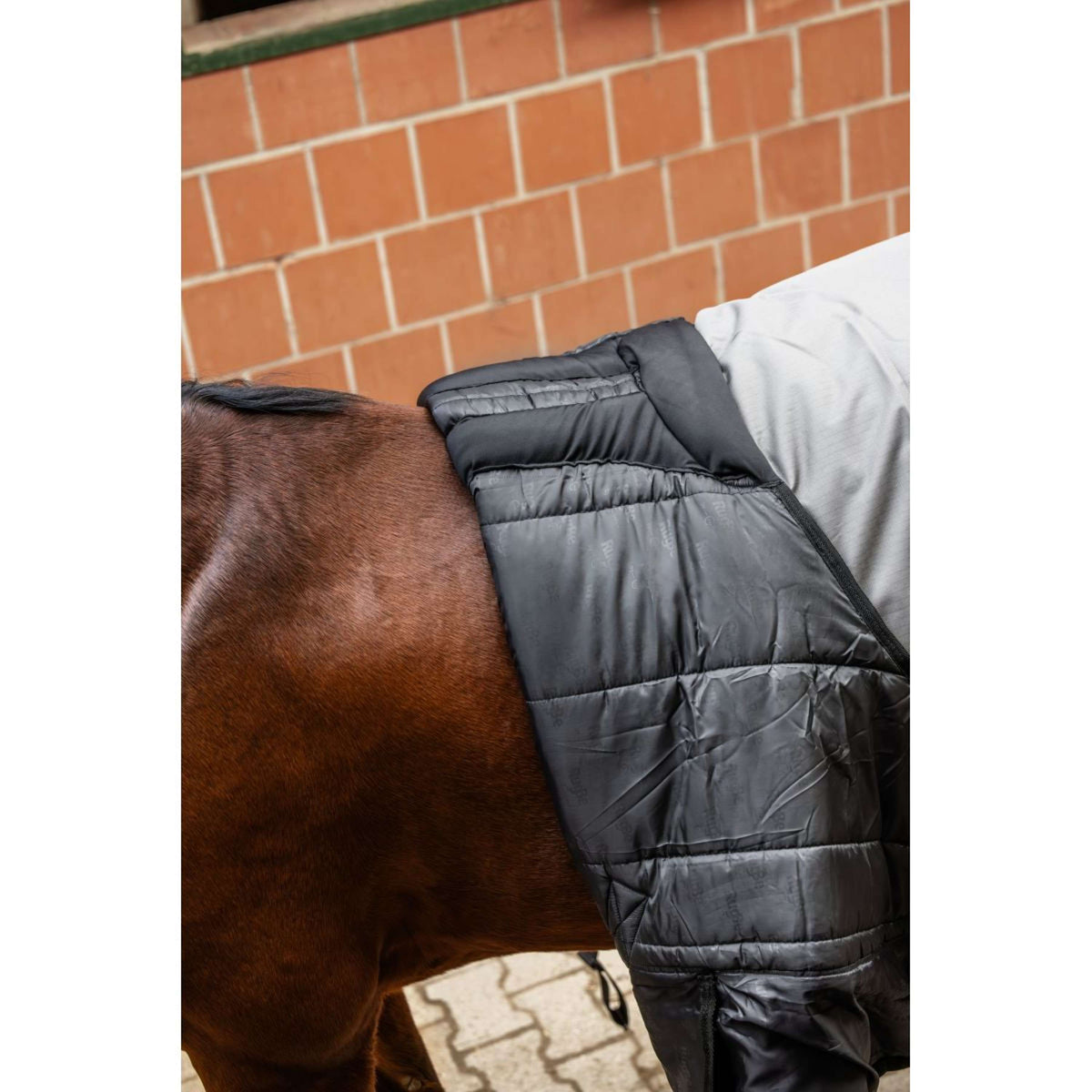 RugBe by Covalliero Couverture d'Hiver AW25 300g Steel Grey