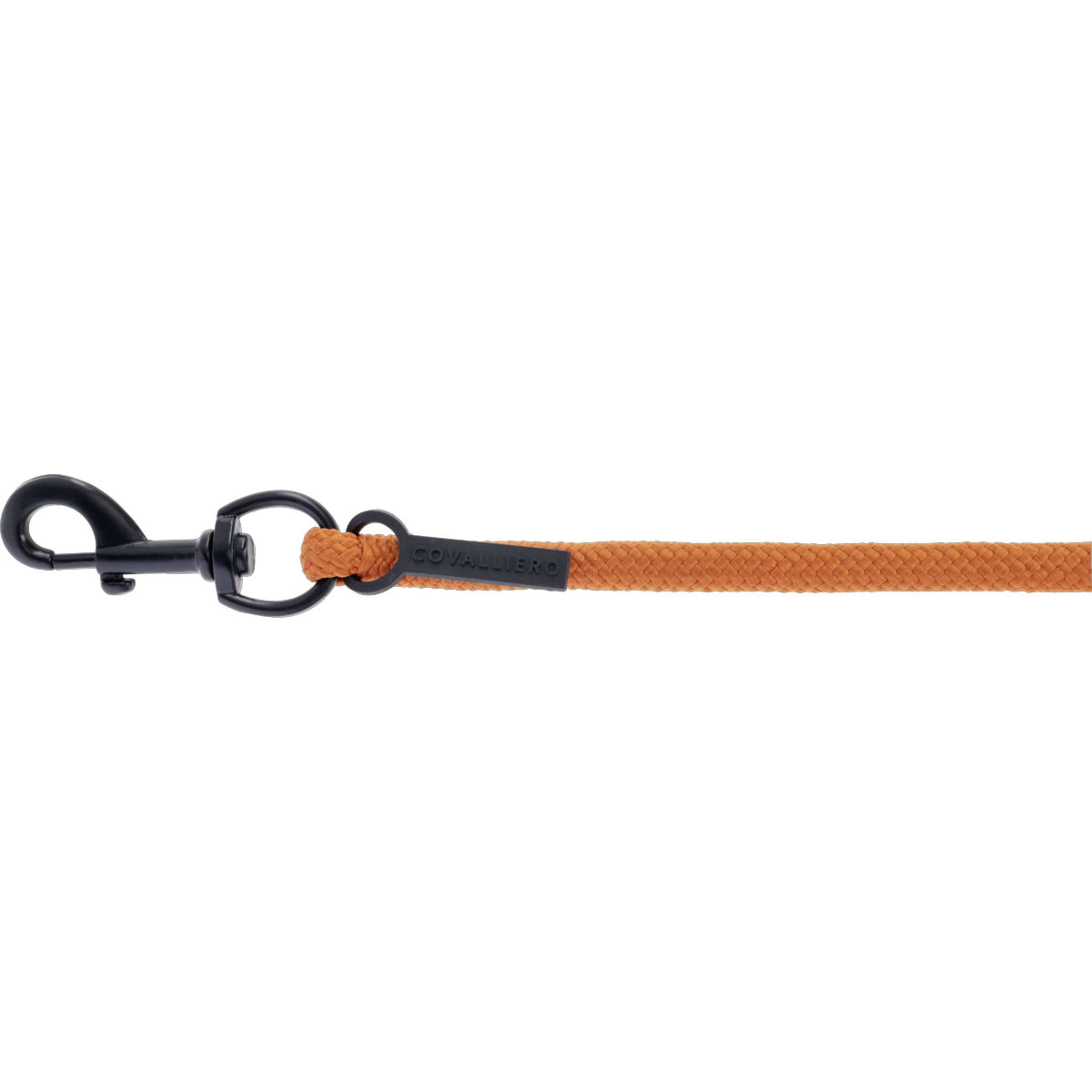 Covalliero Corde pour Licol AW26 avec Mousqueton Orange