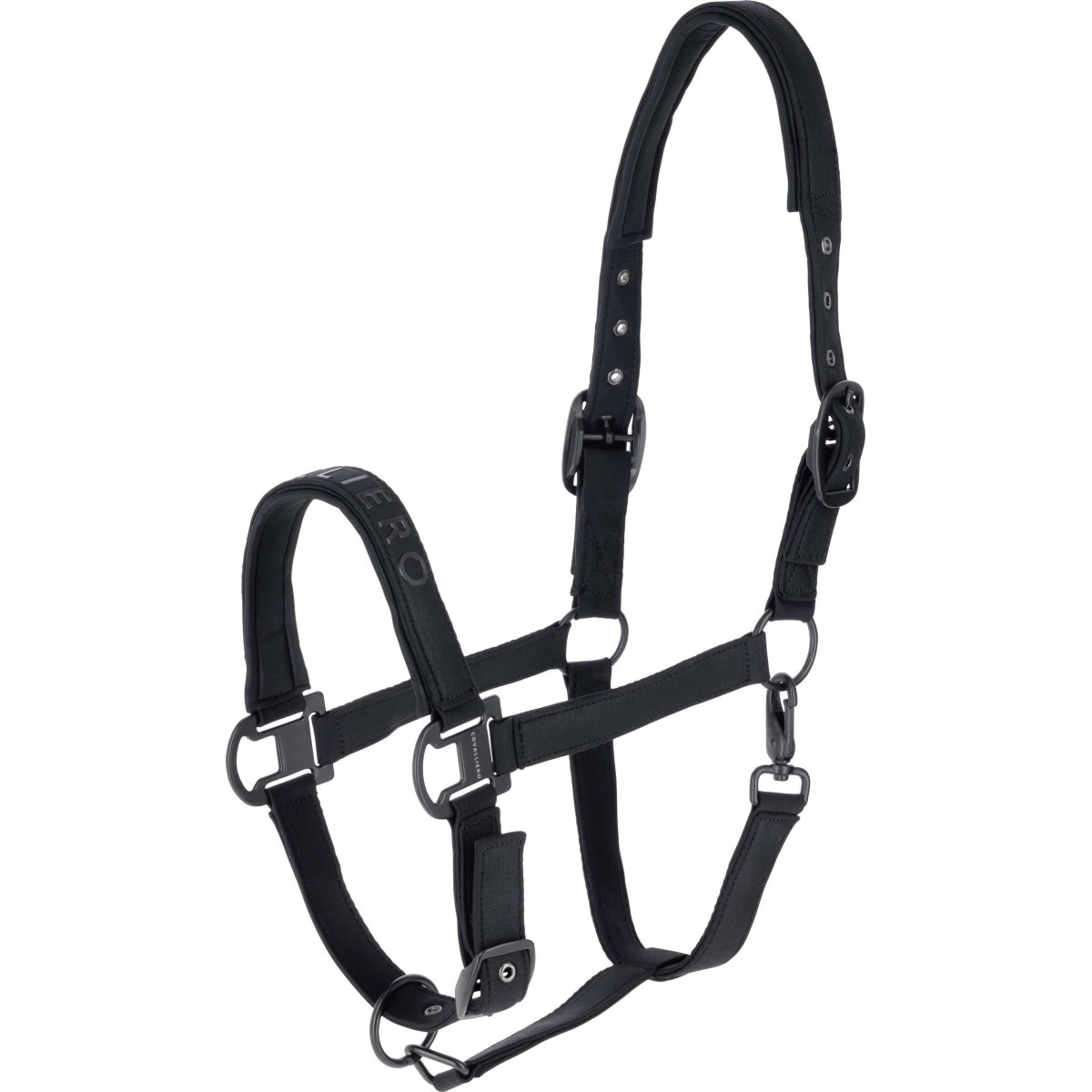 Covalliero Licol AW26 Noir