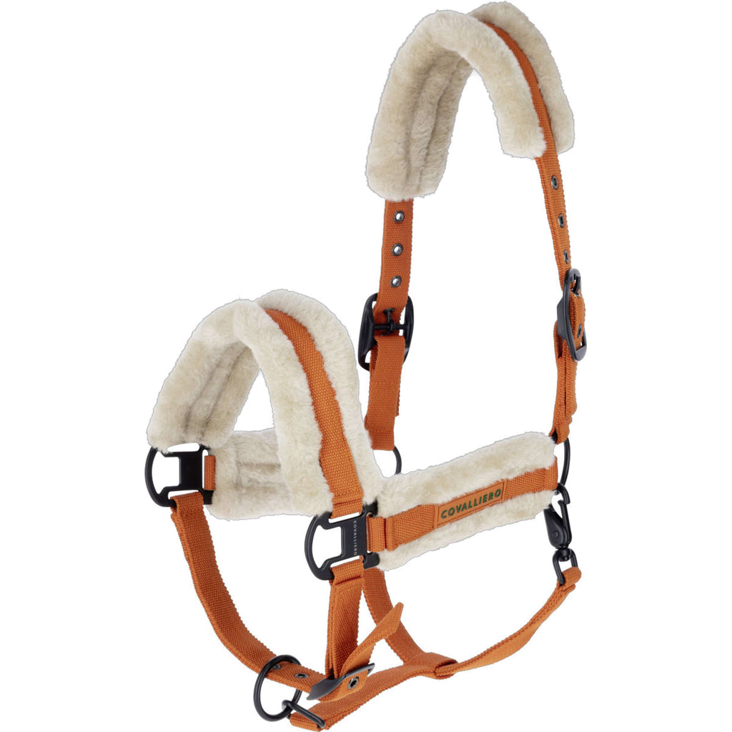 Covalliero Licol Soft AW26 Orange