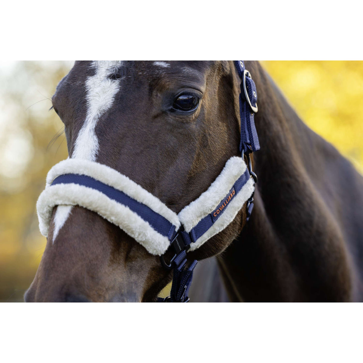 Covalliero Licol Soft AW26 Marin foncé