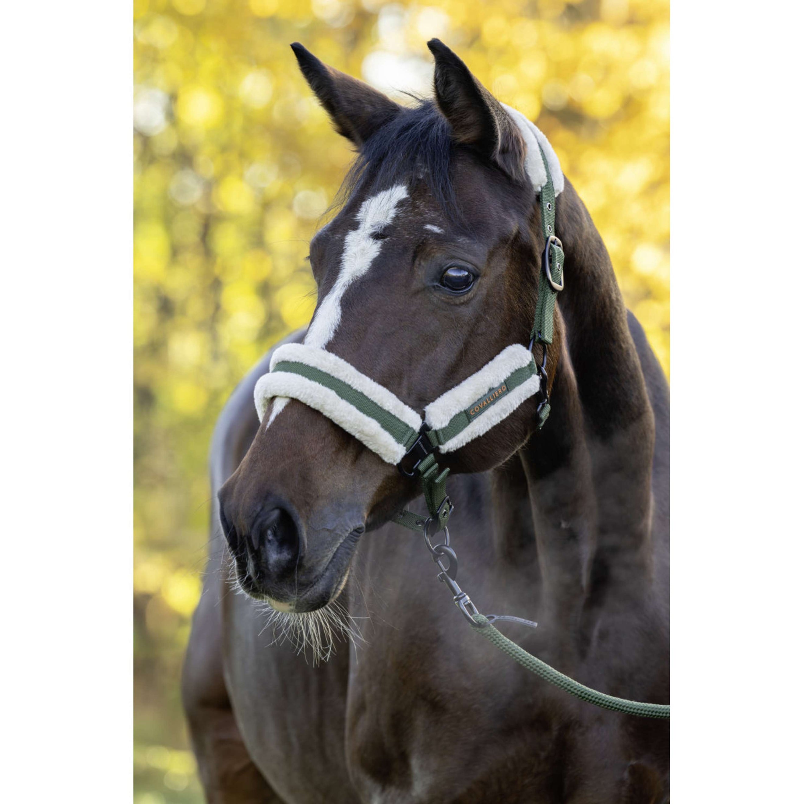 Covalliero Licol Soft AW26 Forest Green Covalliero Licol Soft AW26 Forest Green