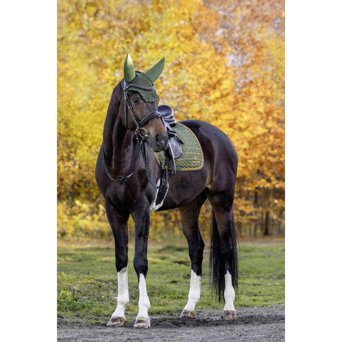 Covalliero Tapis de Selle Soft AW26 Dressage Forest Green