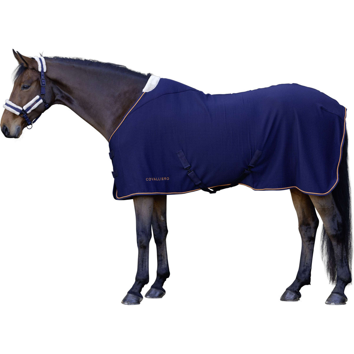 Covalliero Couvertures Anti-Transpiration Premium AW26 Marin foncé
