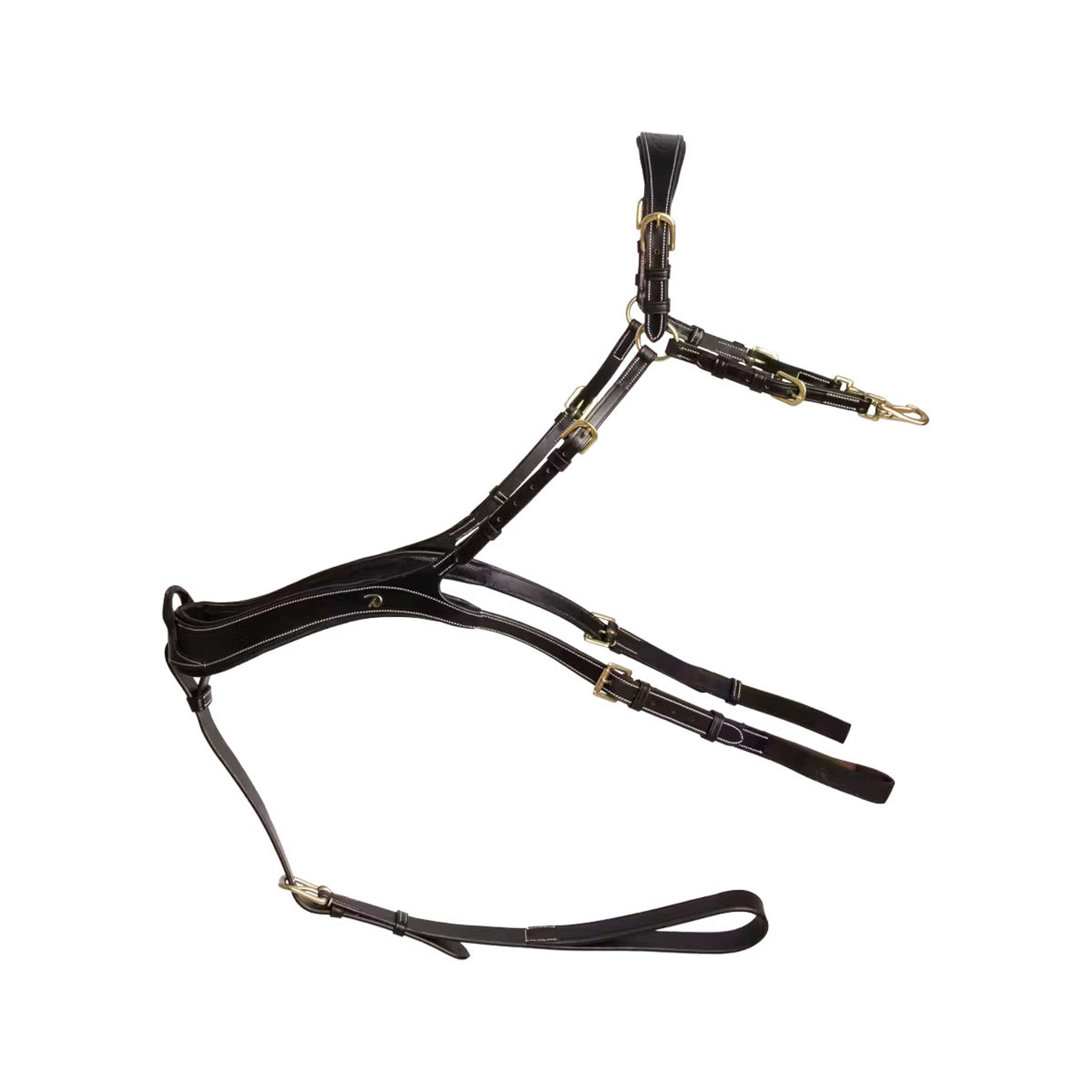 Dyon Collier de Chasse Anatomical Noir/Cuivre