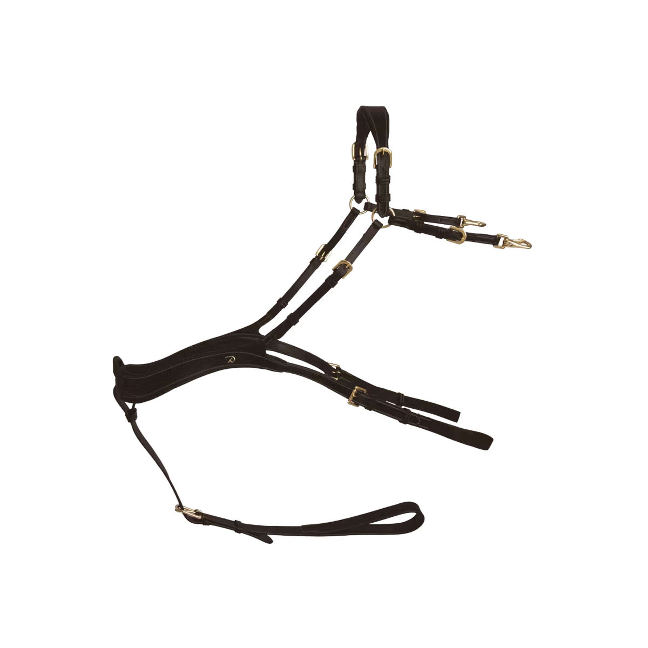 Dyon Collier de Chasse Anatomical Marron/Cuivre