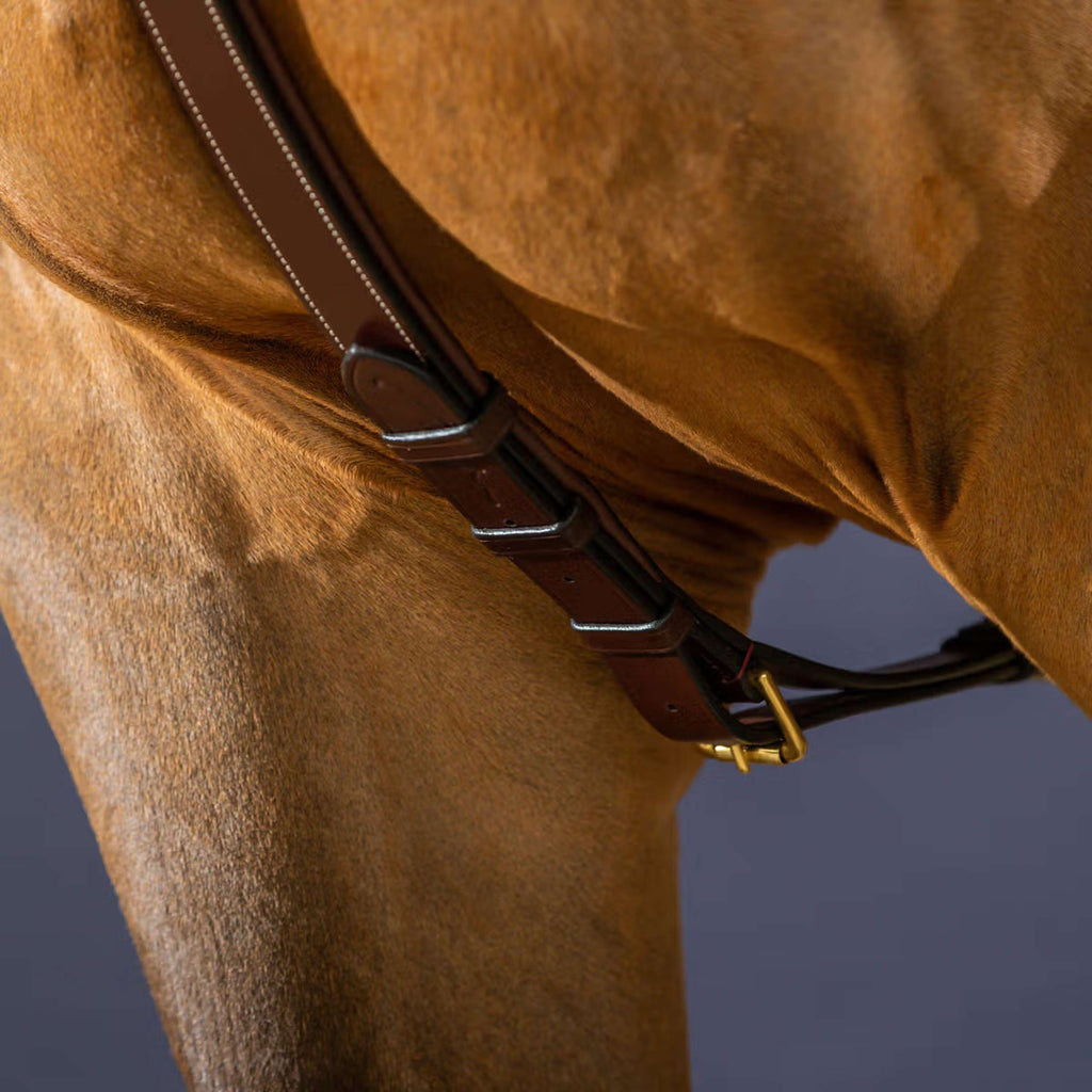 Dyon Collier de Chasse Long Bridge Marron/Cuivre