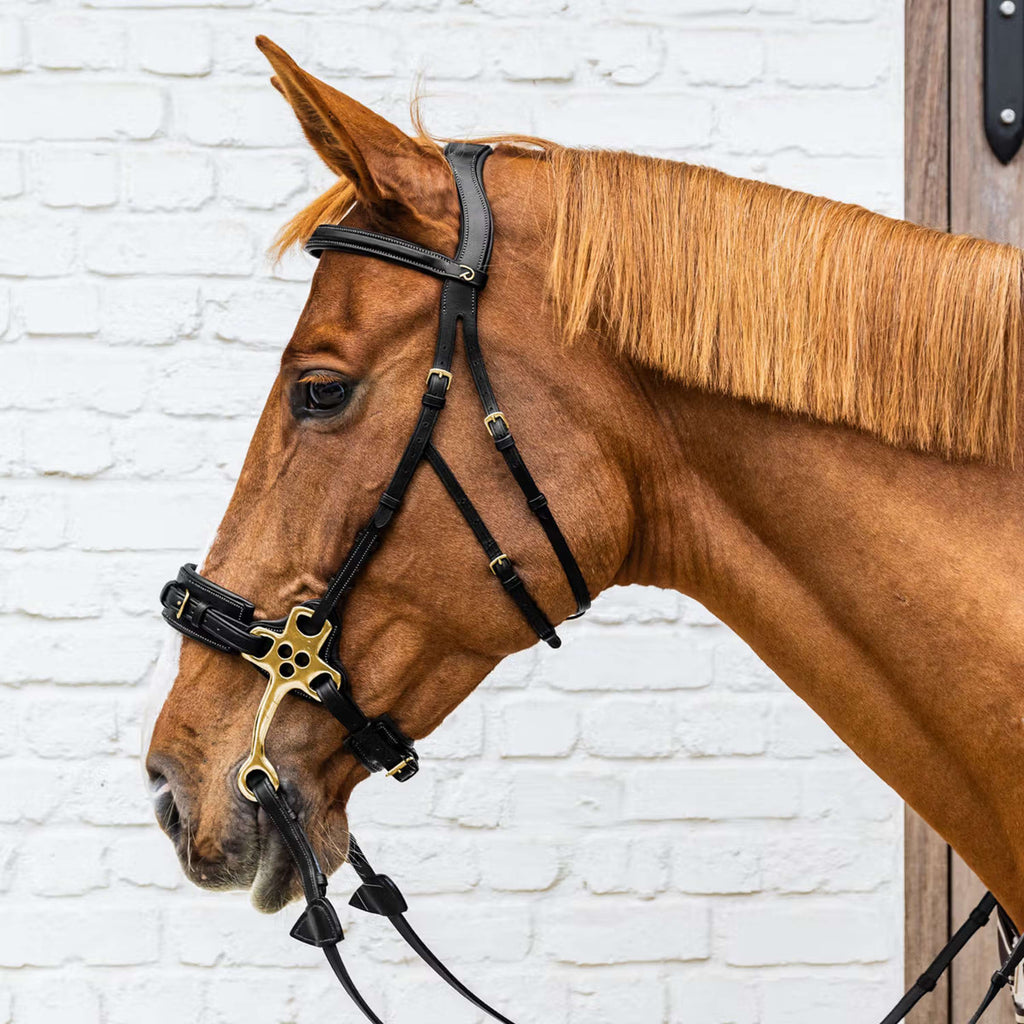 Dyon Bride Hackamore Noir