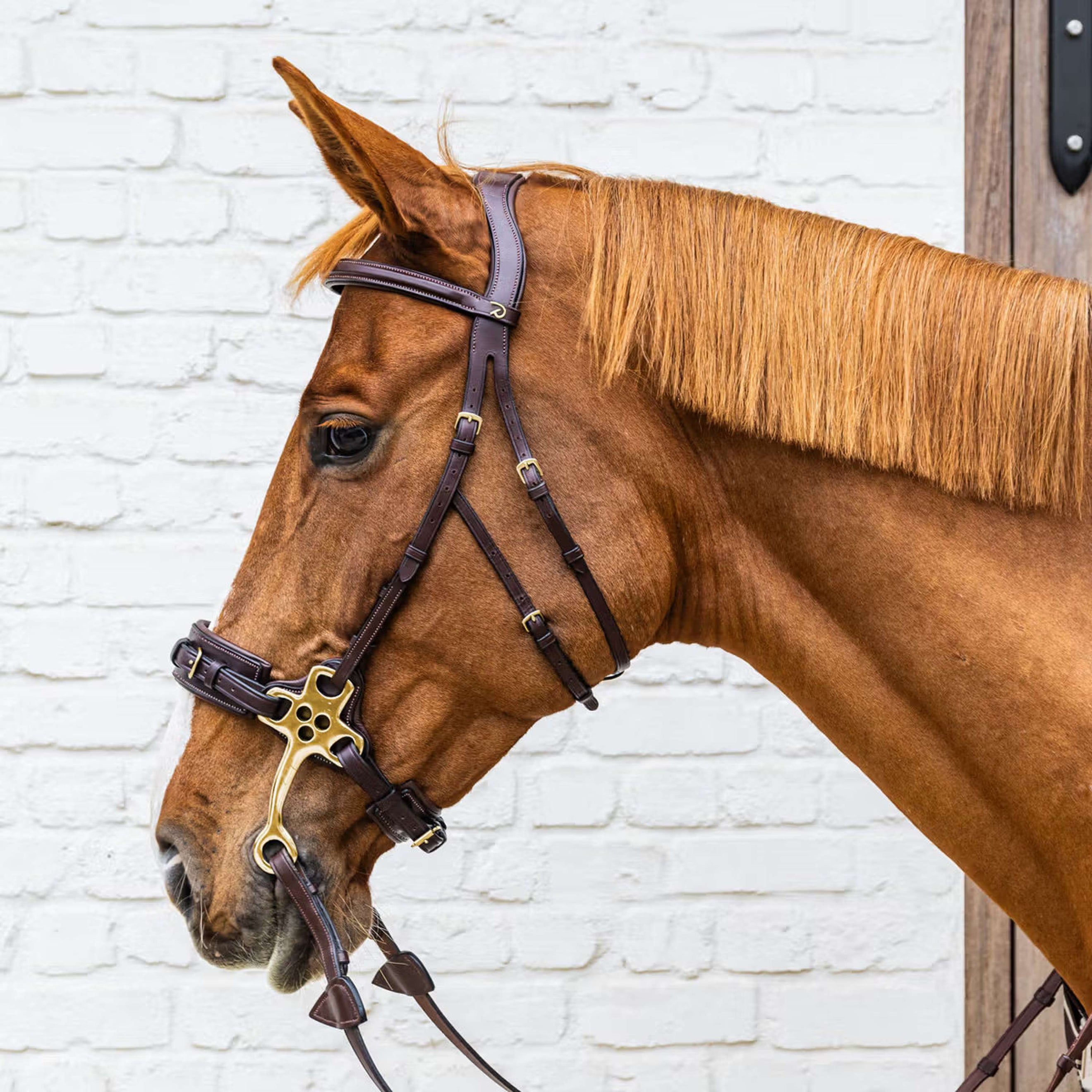 Dyon Bride Hackamore Marron Dyon Bride Hackamore Marron
