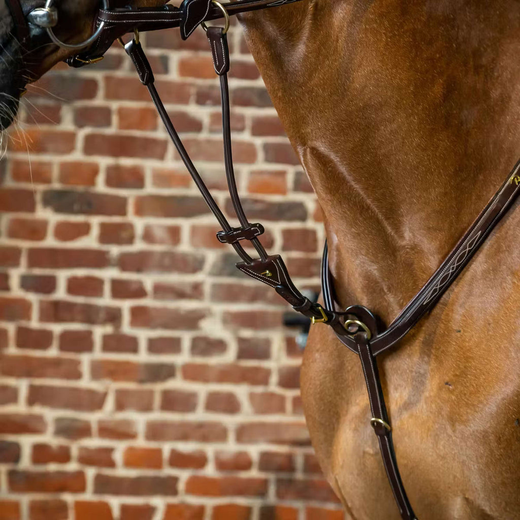 Dyon Martingale Marron