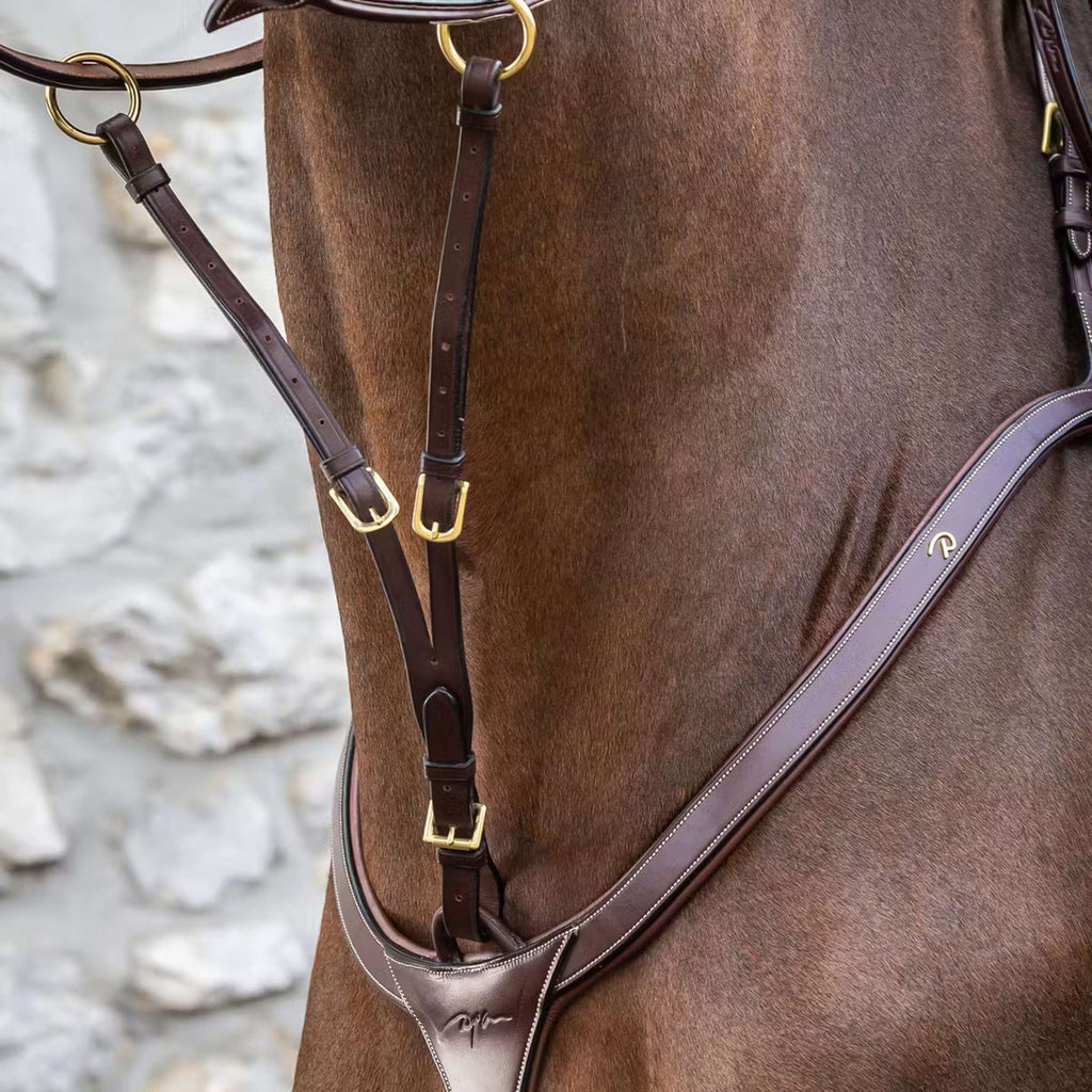 Dyon Triangle de Martingale Running Marron
