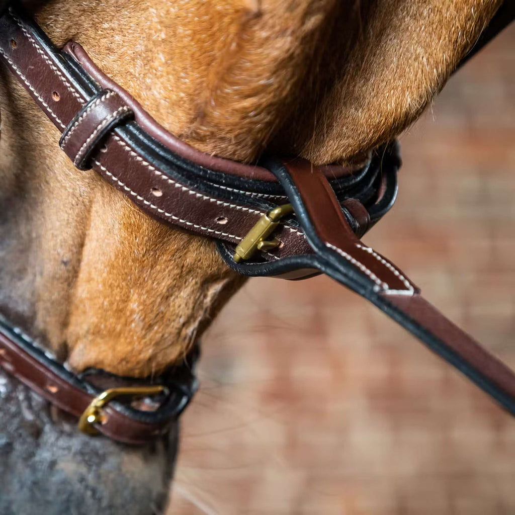 Dyon Martingale Standing Marron