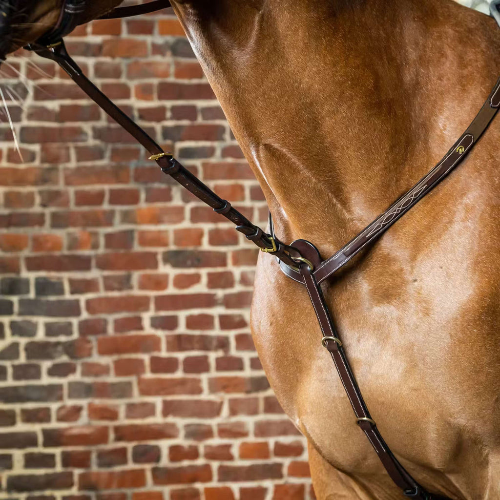 Dyon Martingale Standing Marron