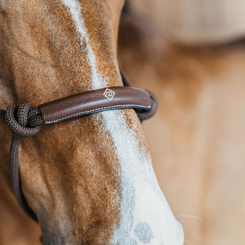 Dyon Licol en Corde Marron