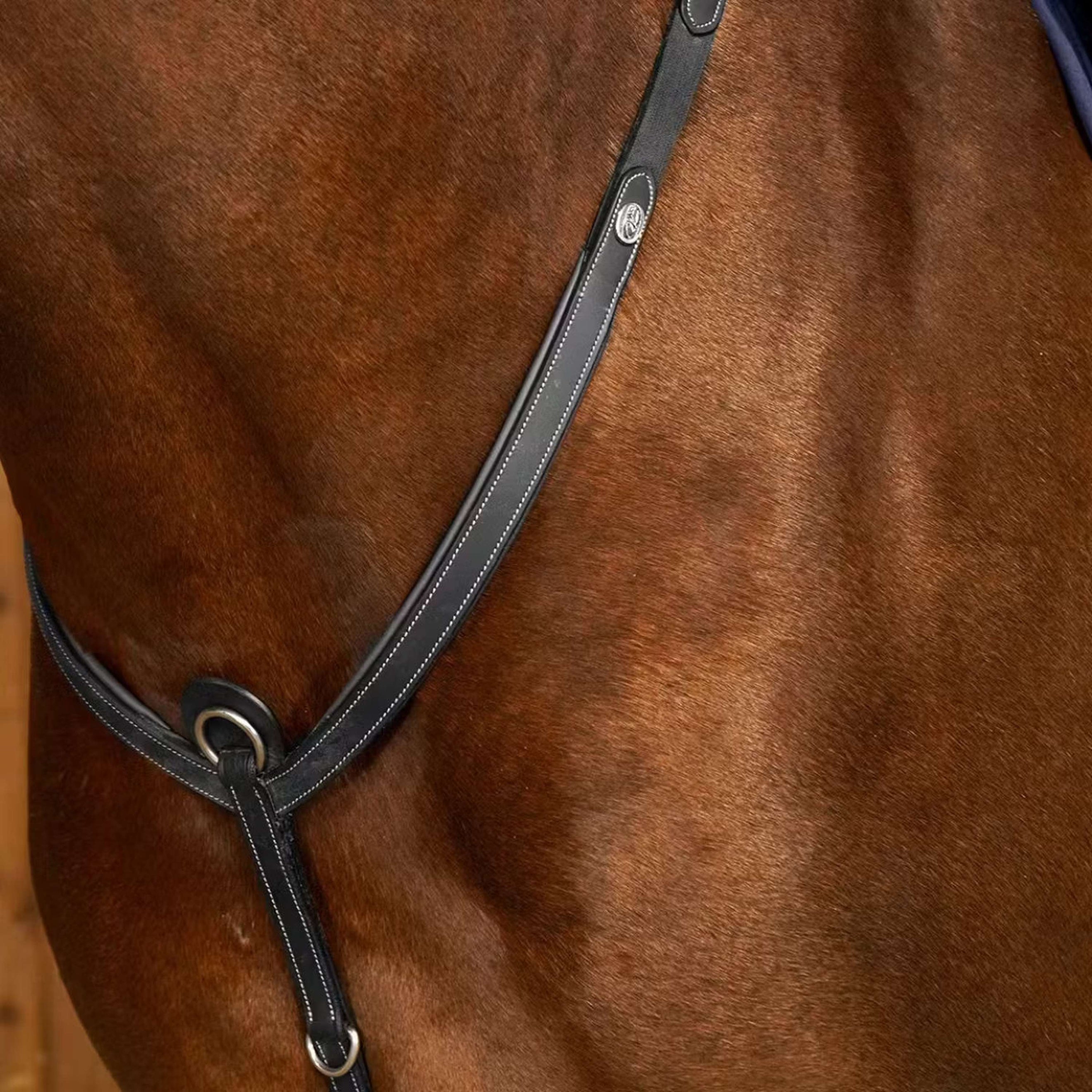 Dyon Martingale Working Breastplate Noir