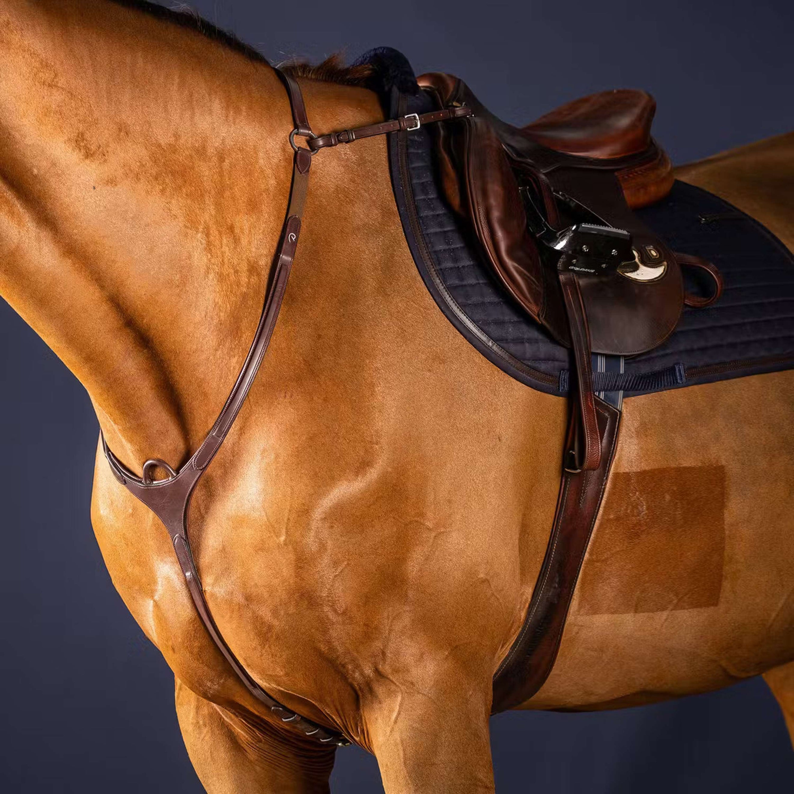 Dyon Collier de Chasse Bridge New English Collection Marron