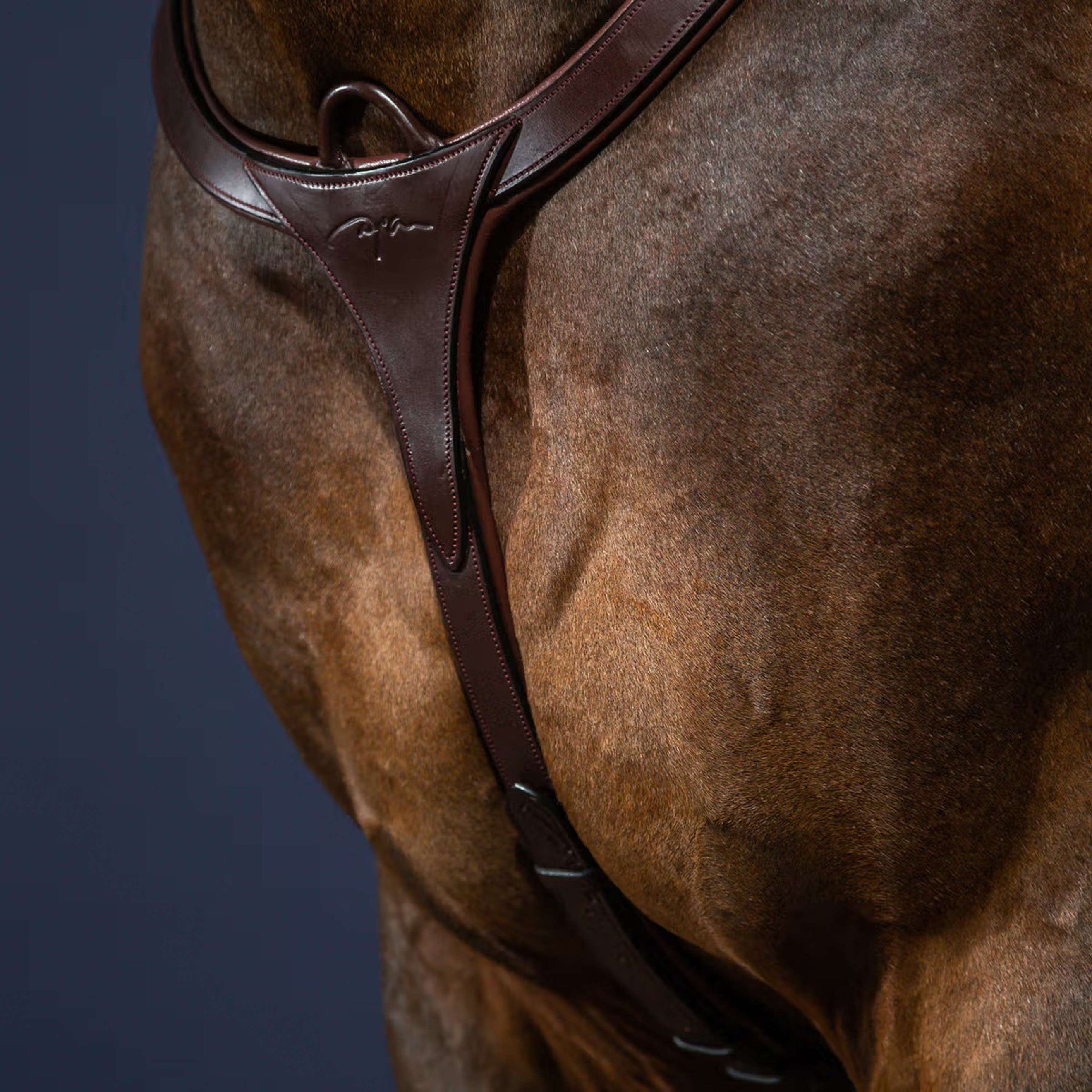 Dyon Collier de Chasse Long Bridge New English Collection Marron