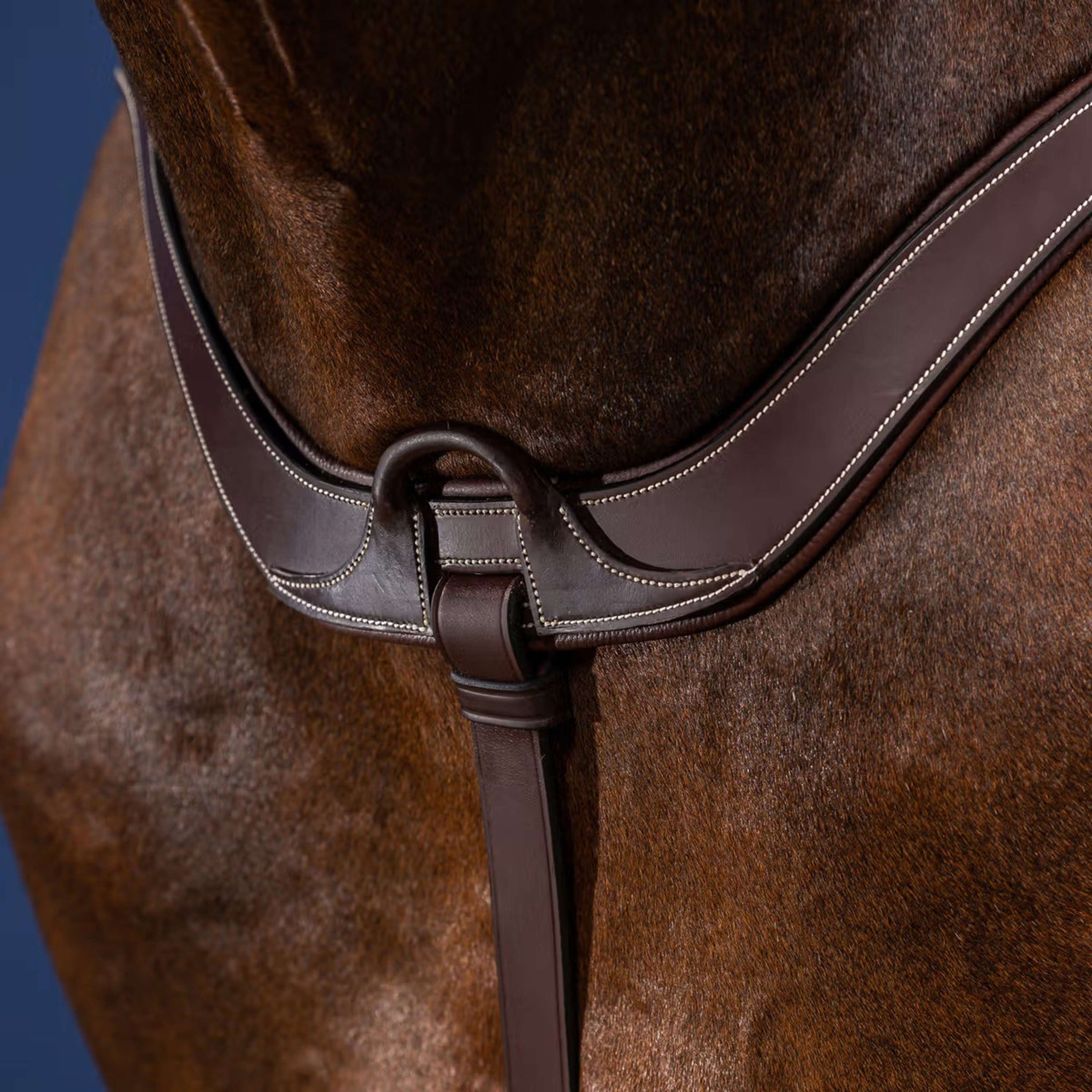 Dyon Collier de Chasse Anatomical Marron/Argent Dyon Collier de Chasse Anatomical Marron/Argent
