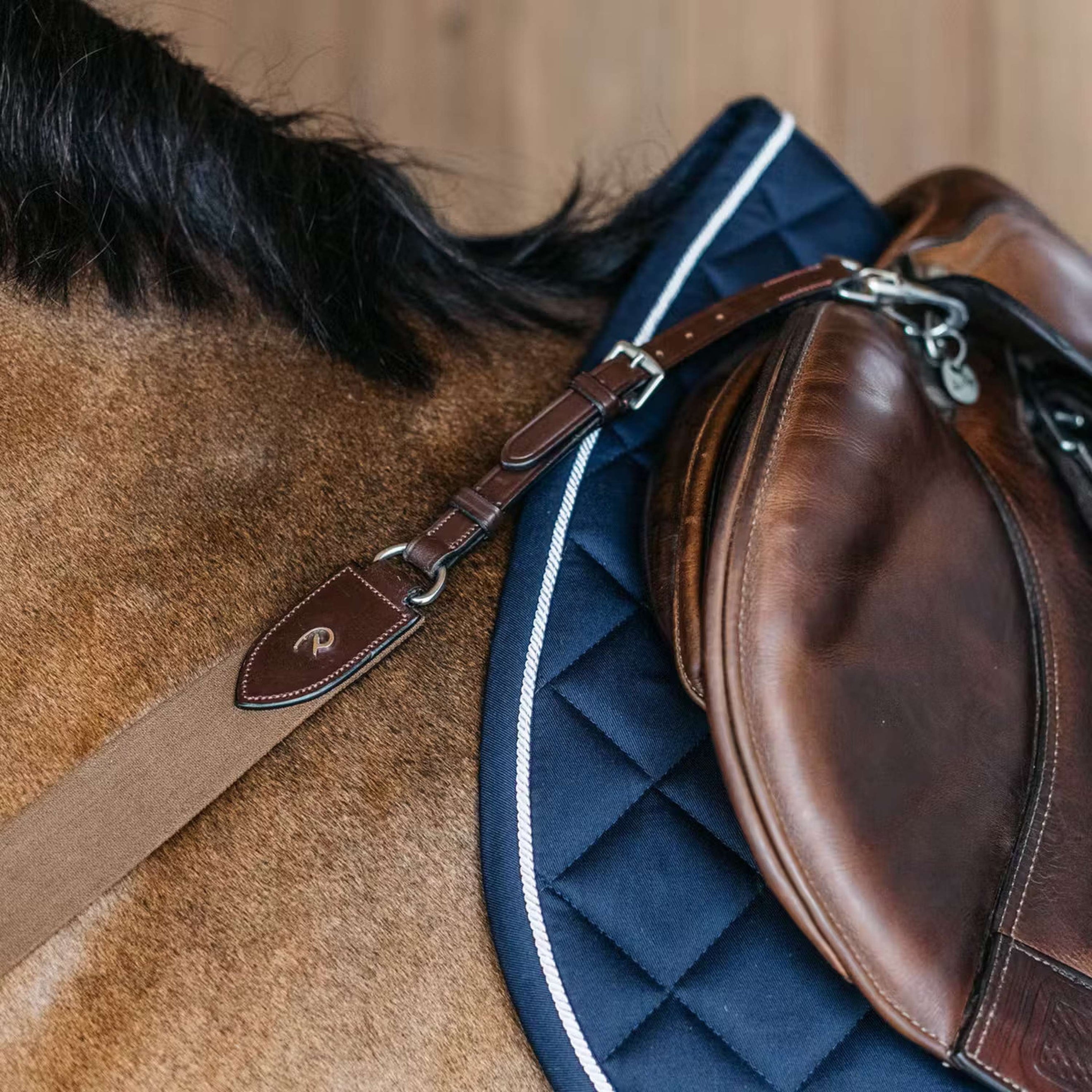 Dyon Collier de Chasse New English avec Élastique Marron Dyon Collier de Chasse New English avec Élastique Marron