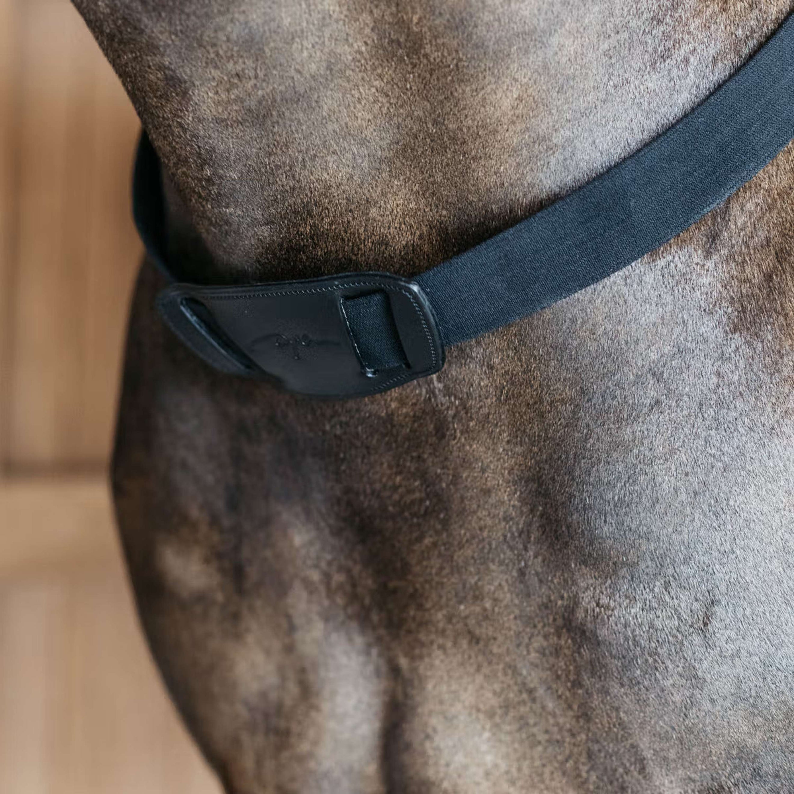Dyon Collier de Chasse New English avec Élastique Noir Dyon Collier de Chasse New English avec Élastique Noir