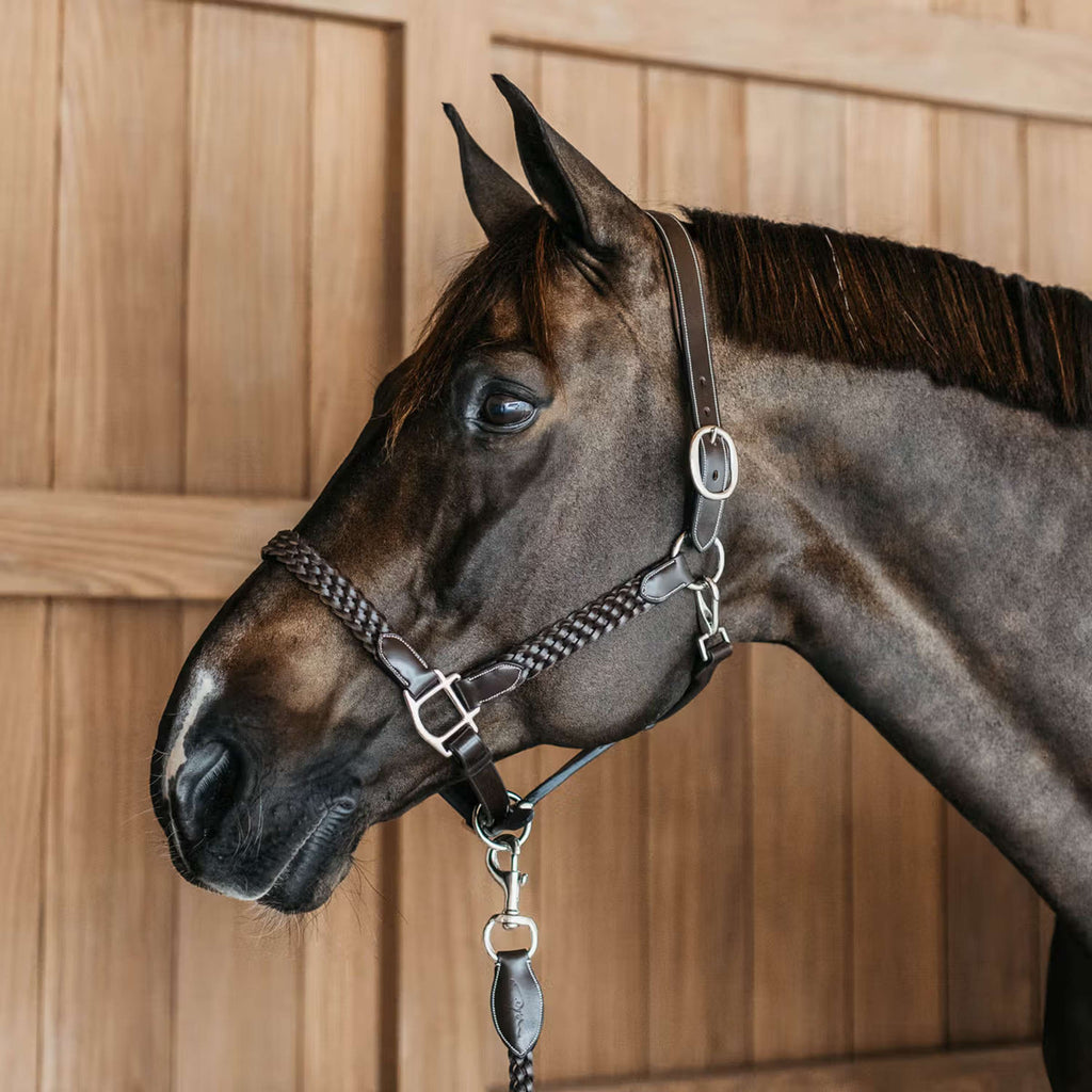 Dyon Licol Plaited Marron